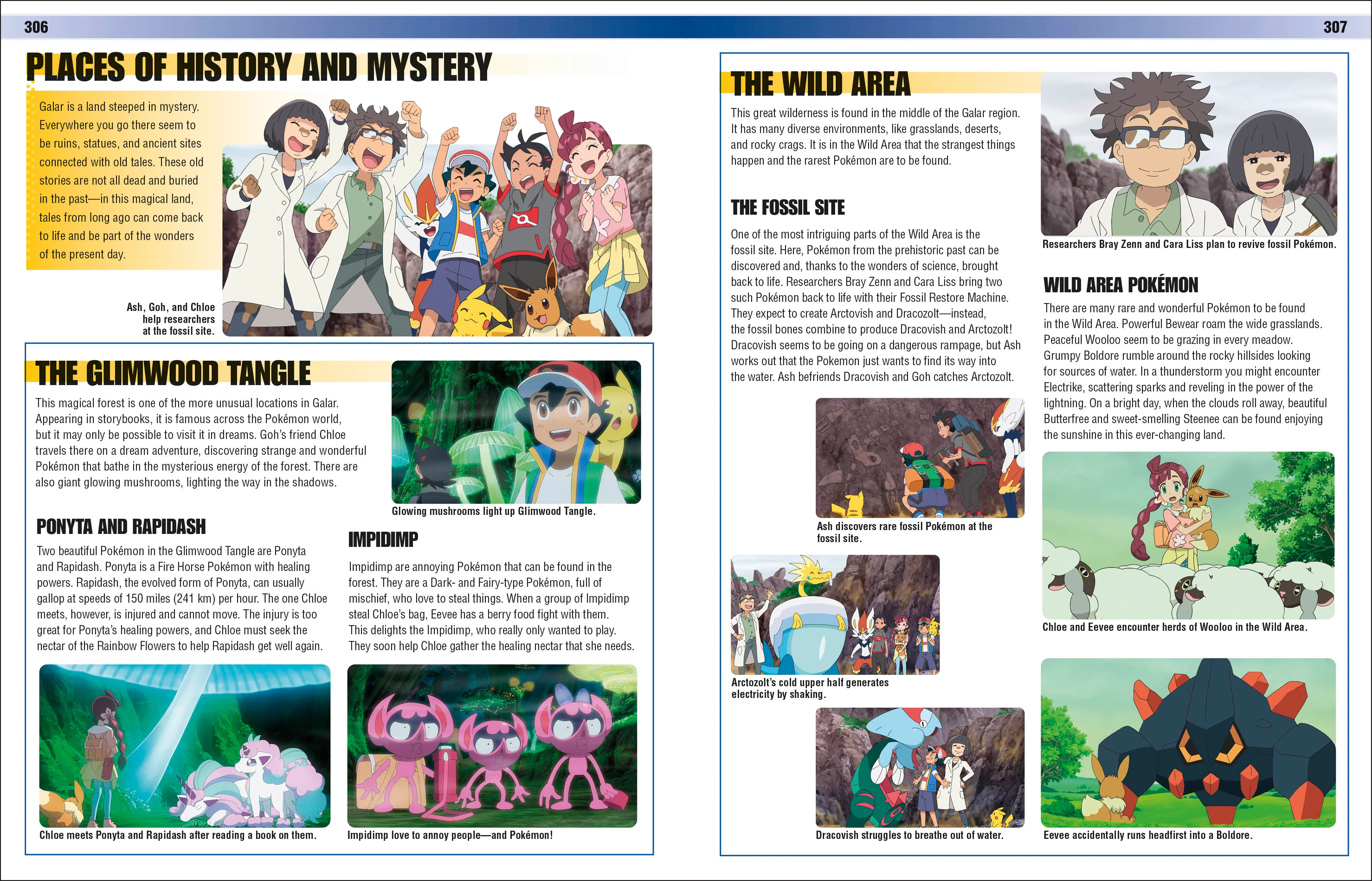Pokémon Visual Companion Fifth Edition - Image 5