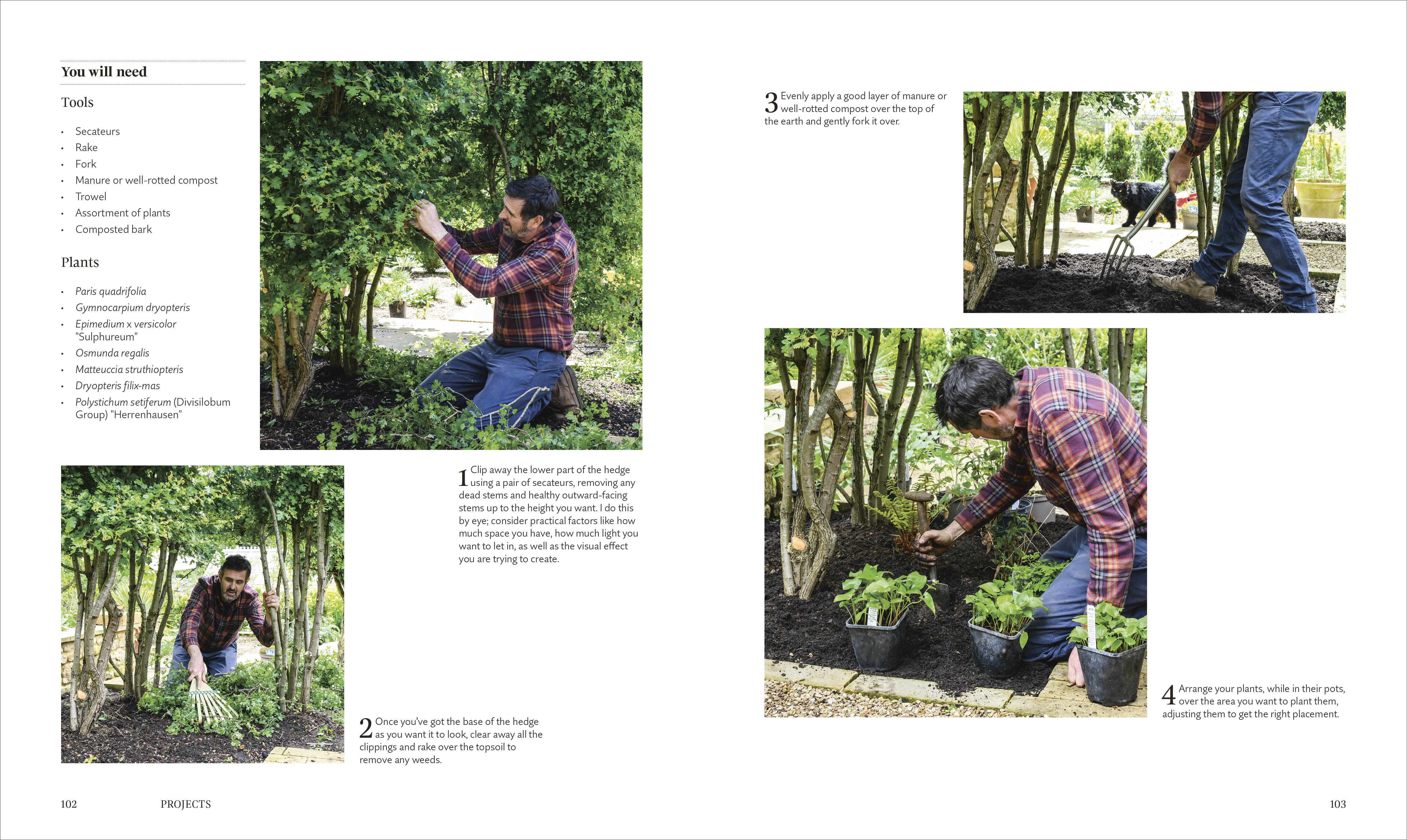 For the Love of Plants - Image 6