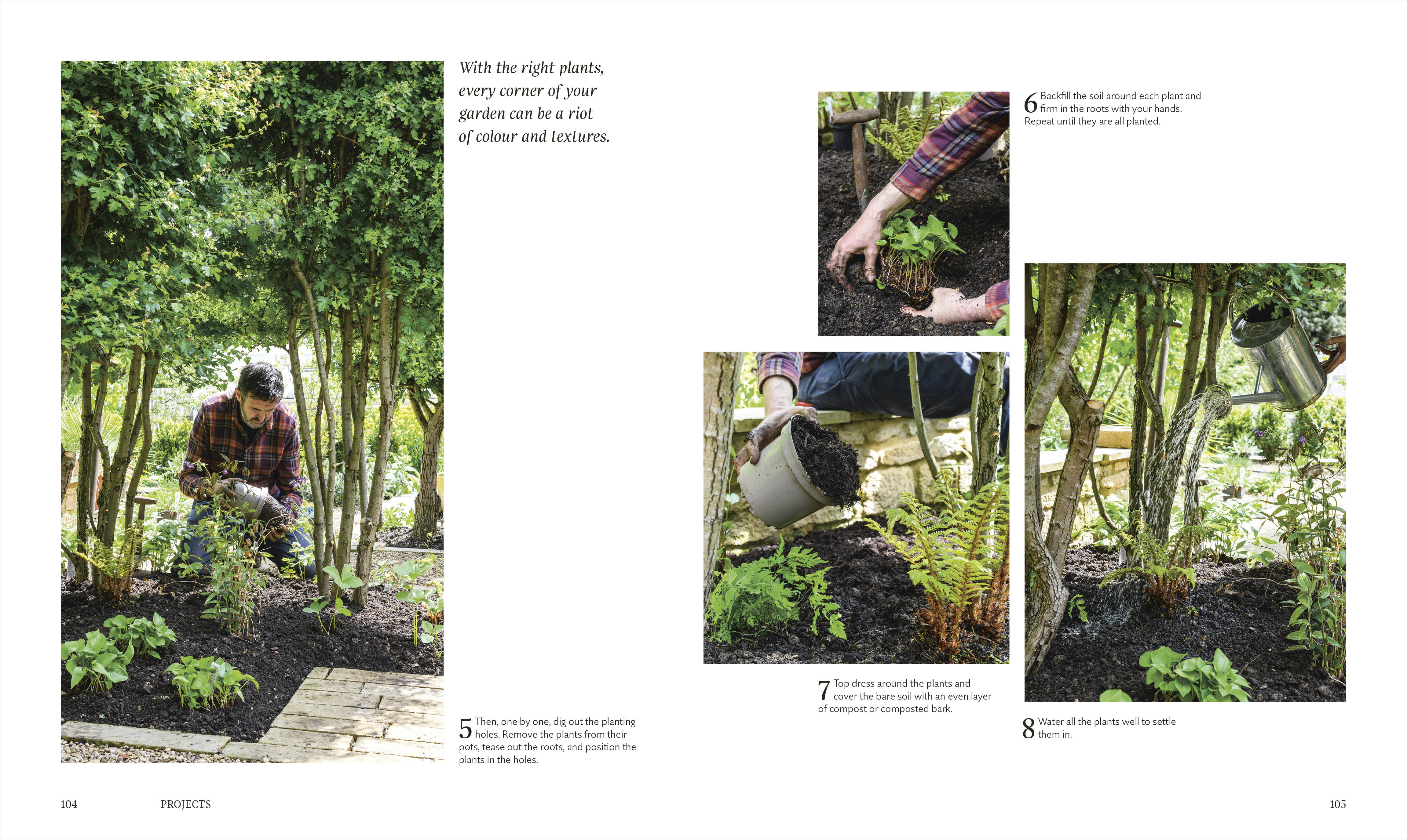 For the Love of Plants - Image 7