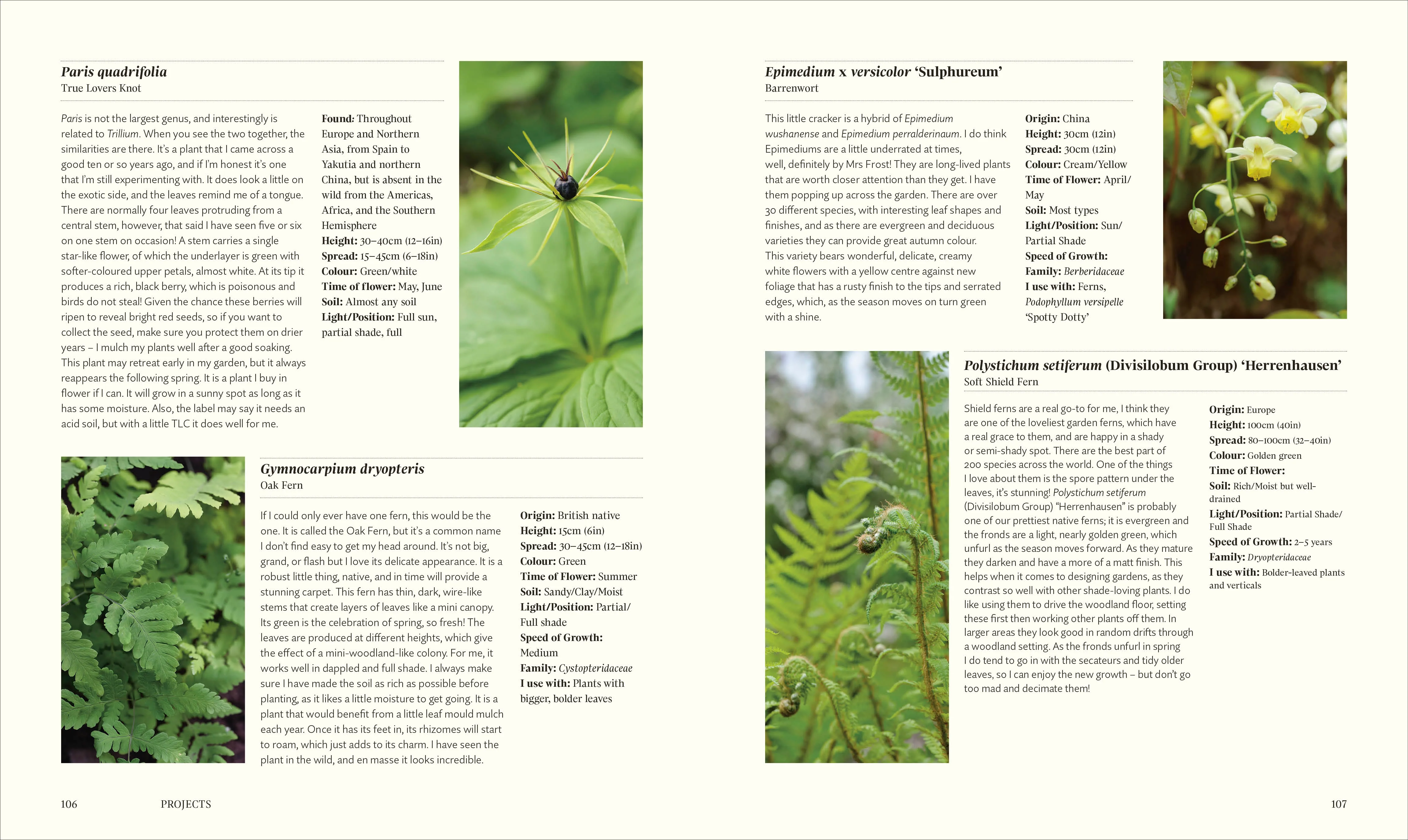 For the Love of Plants - Image 8