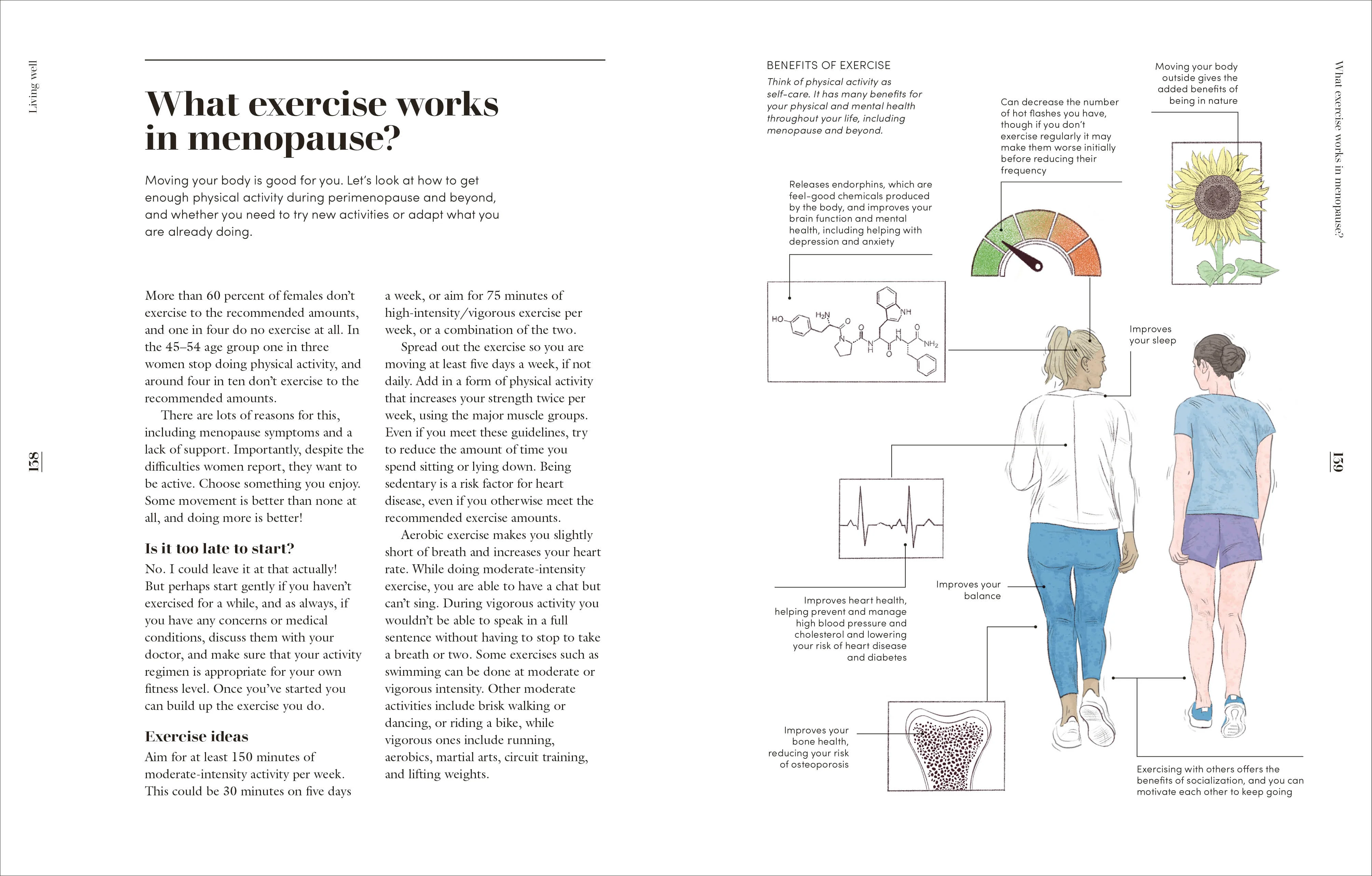 The Science of Menopause - Image 5