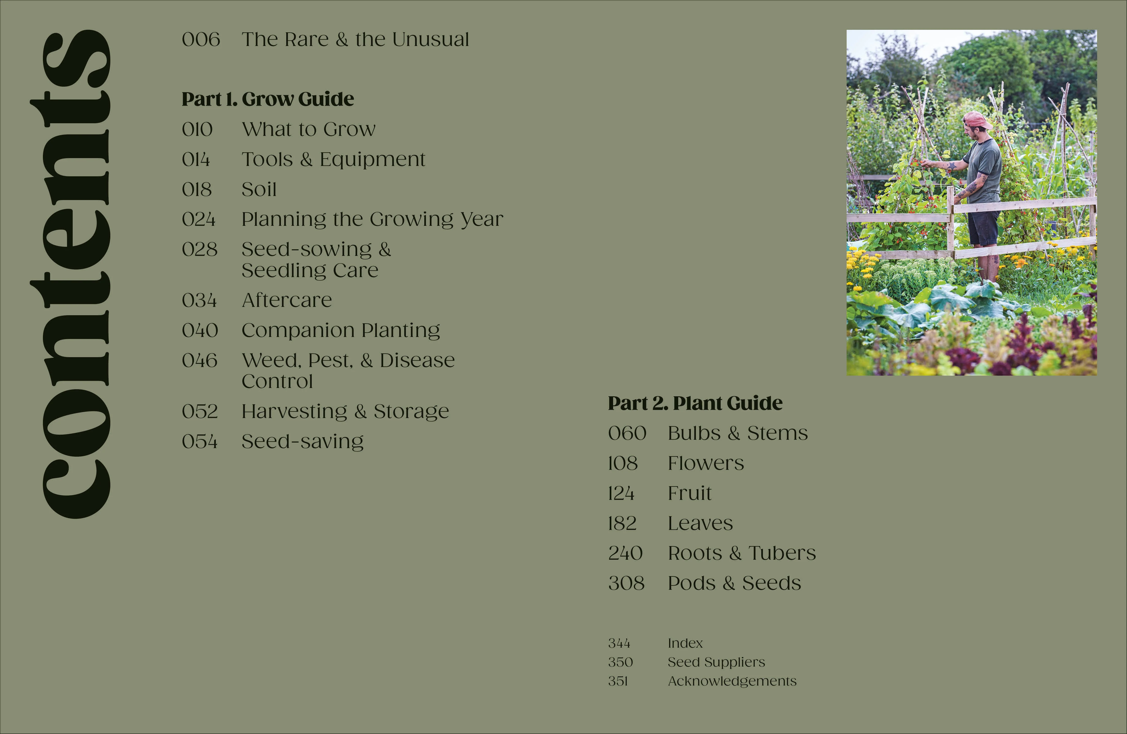 The Seed Hunter - Image 2