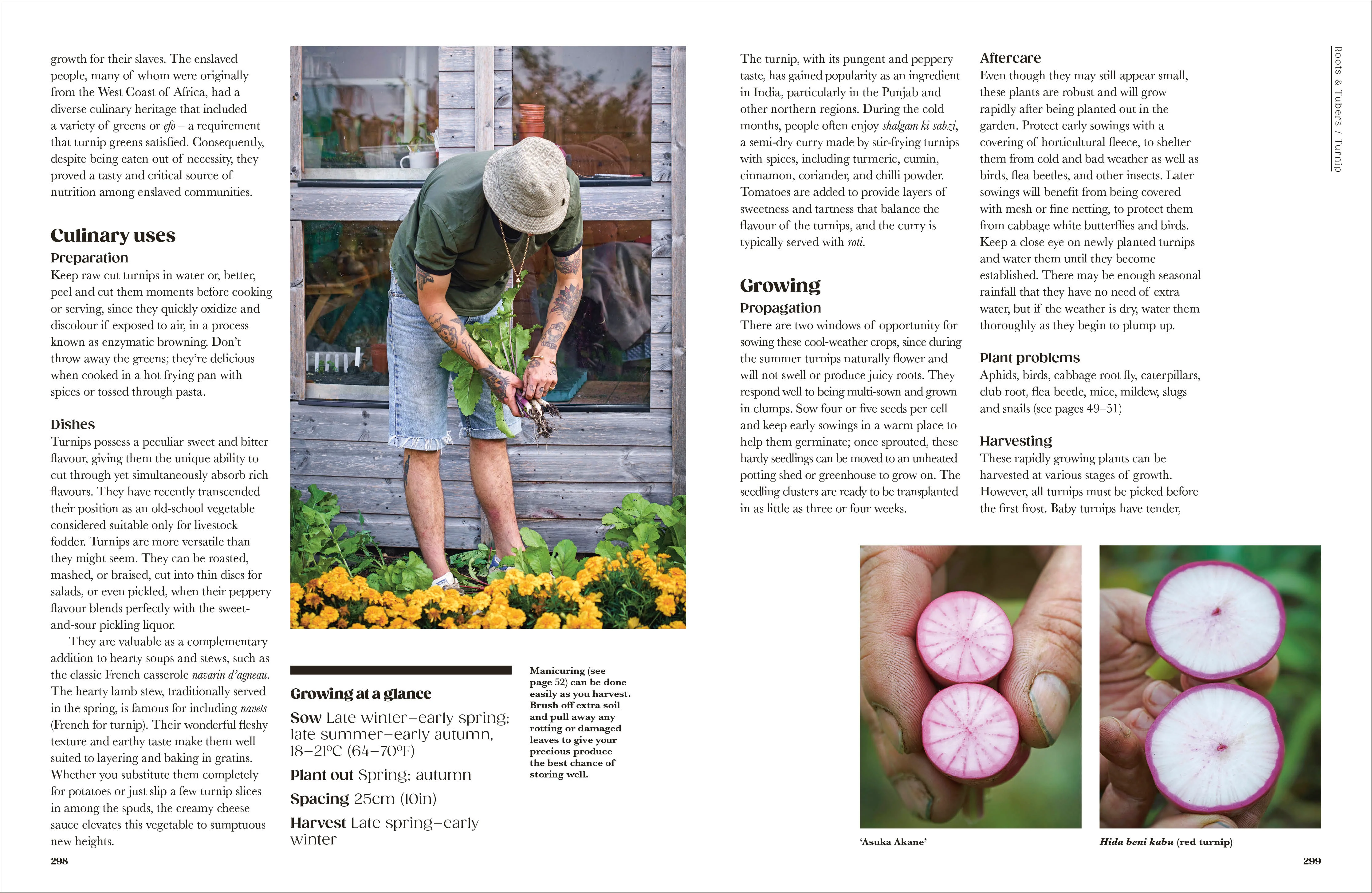 The Seed Hunter - Image 6