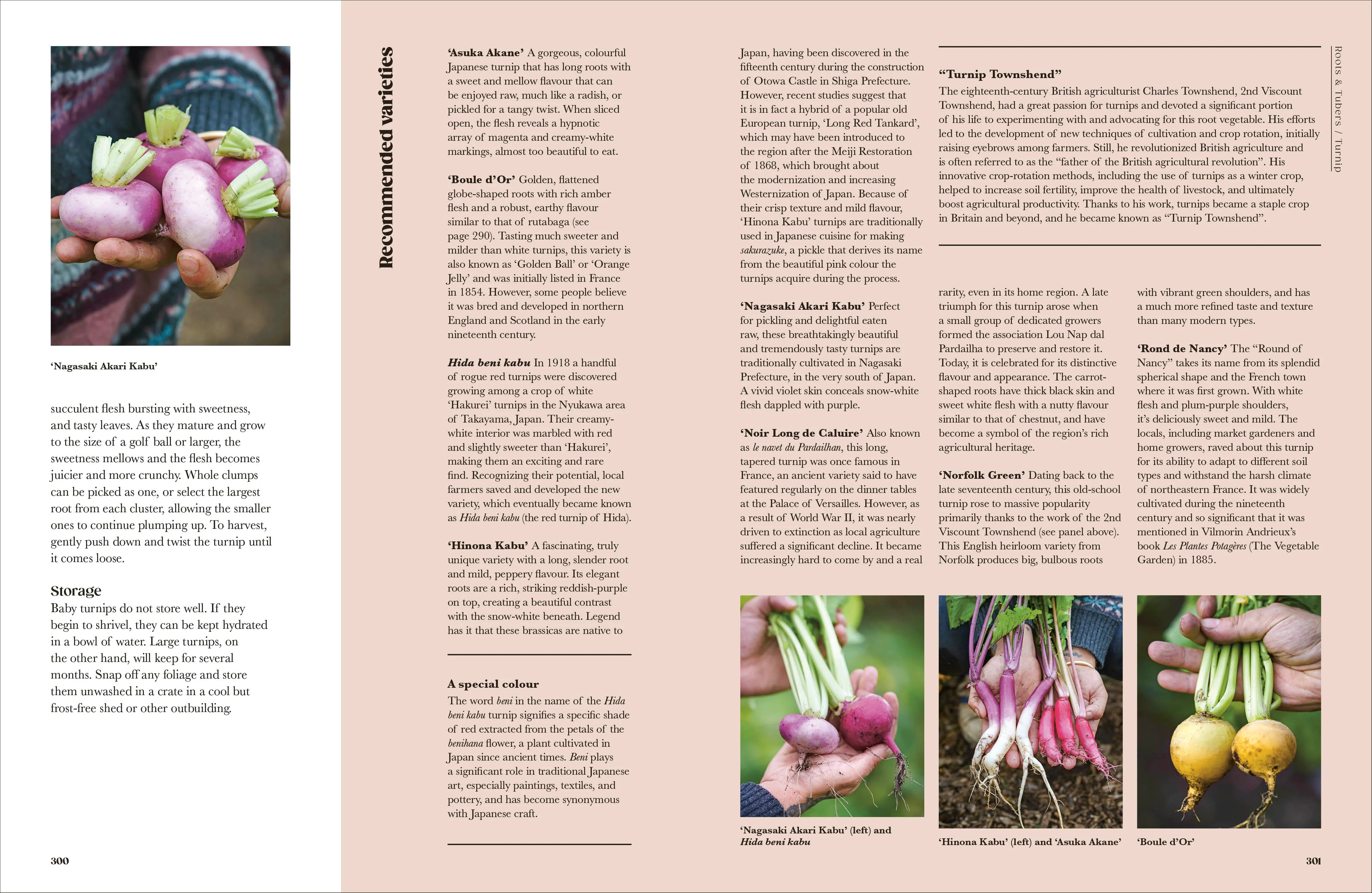 The Seed Hunter - Image 7