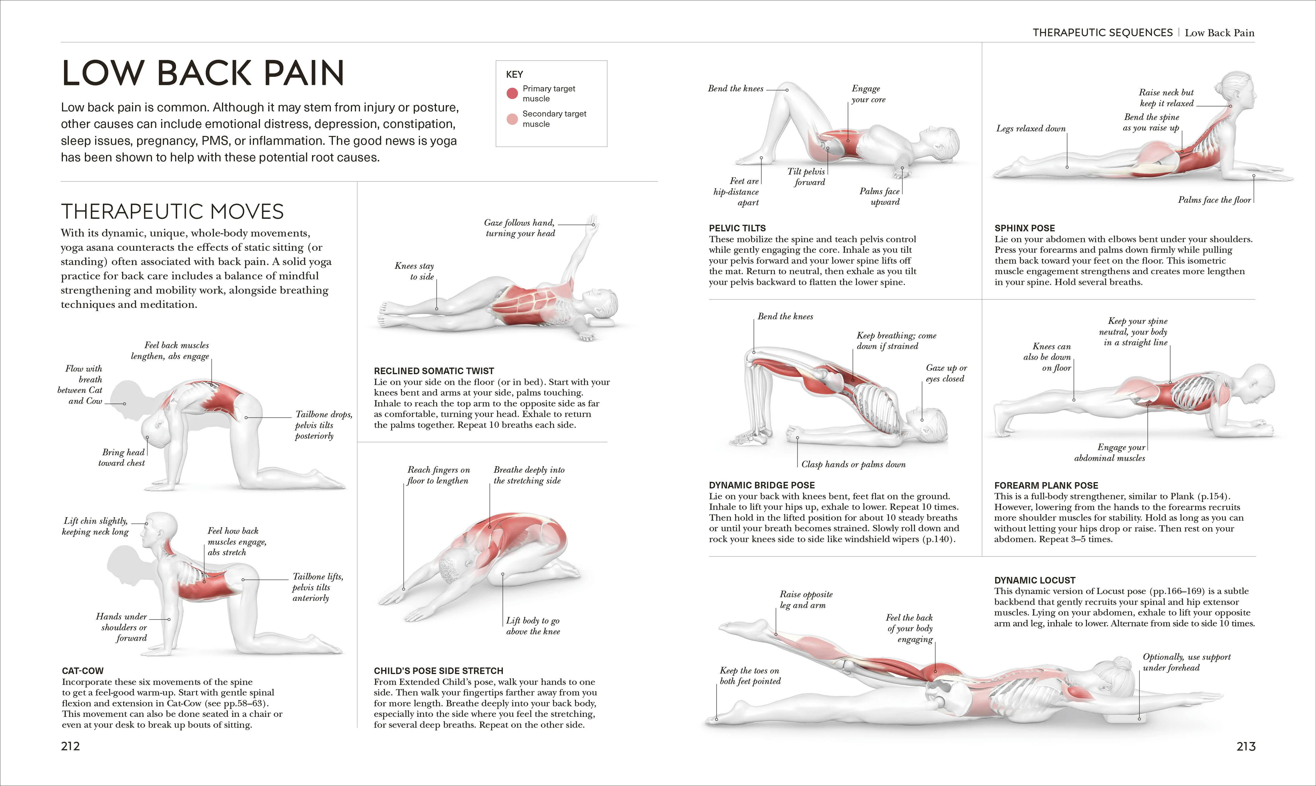 Science of Yoga - Image 6