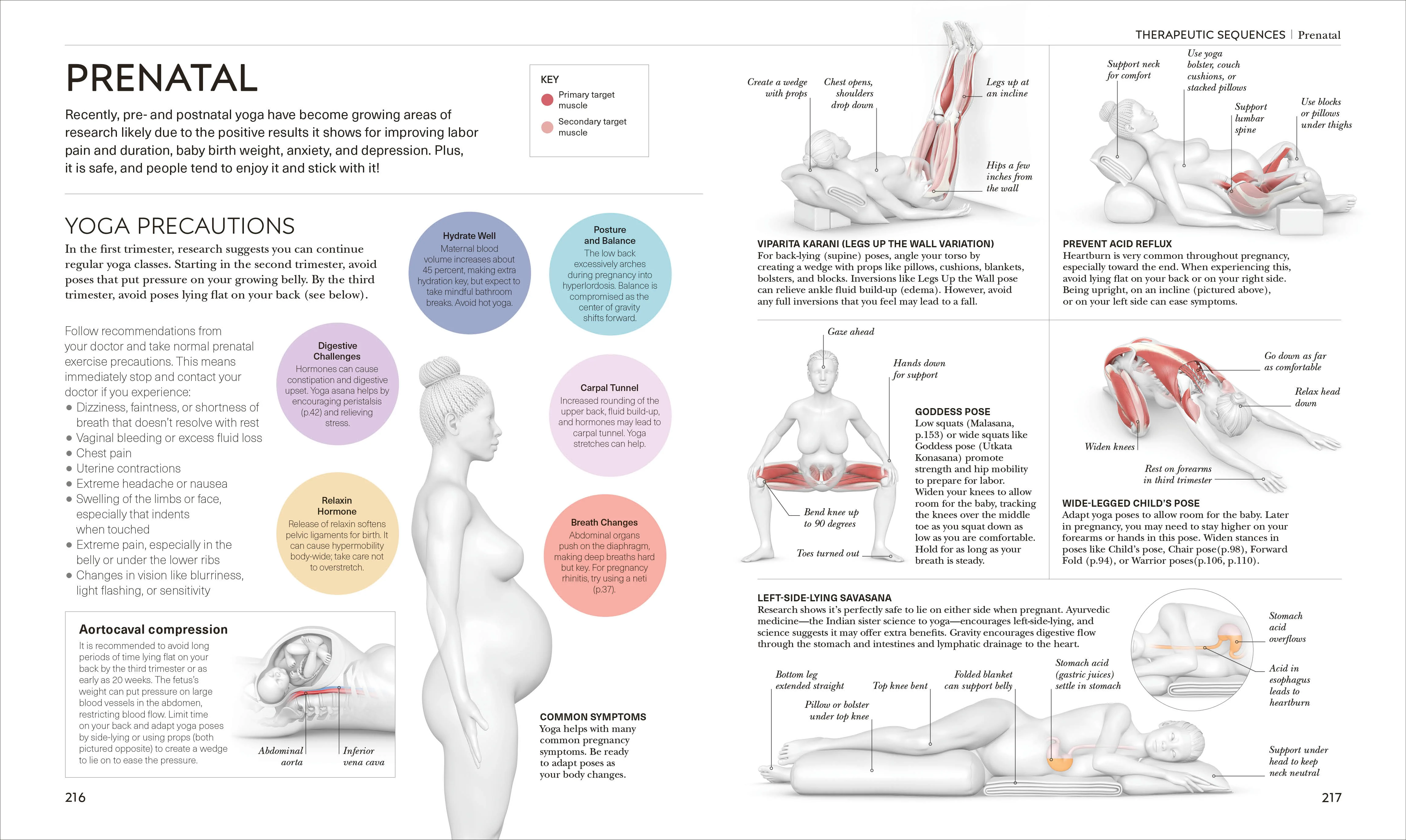 Science of Yoga - Image 7