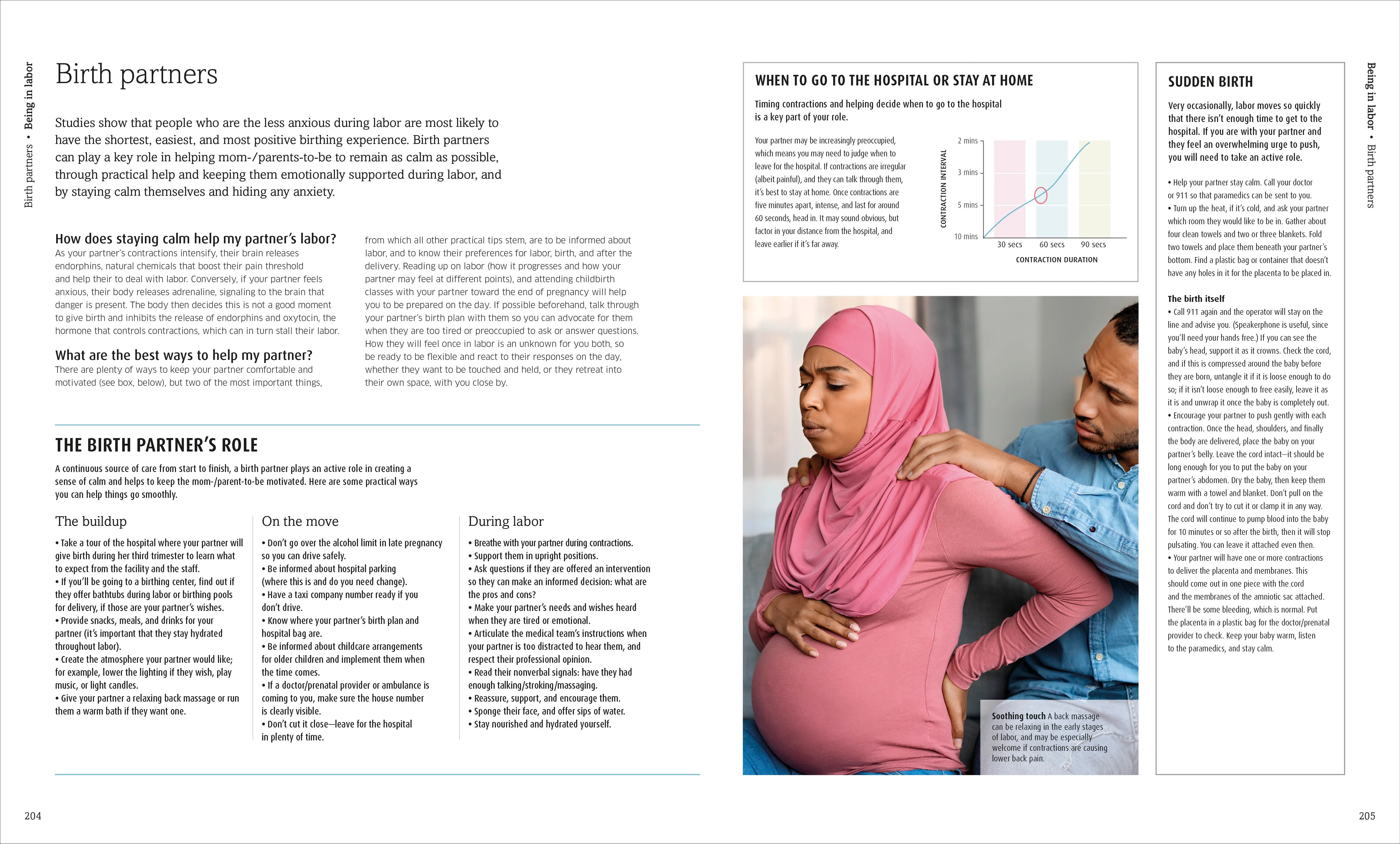 The Pregnancy Encyclopedia - Image 5