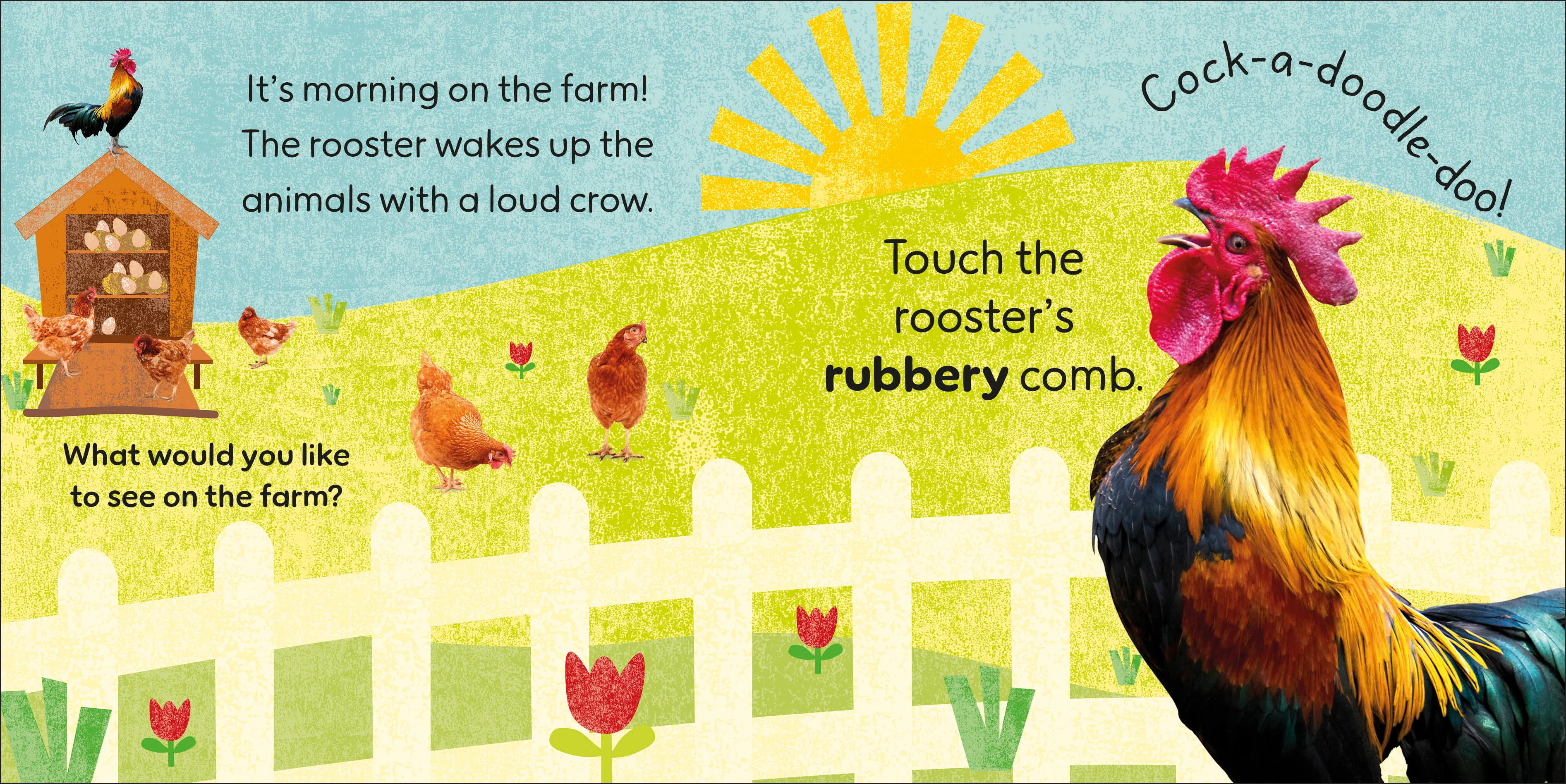 Touch and Feel Farm - Image 2