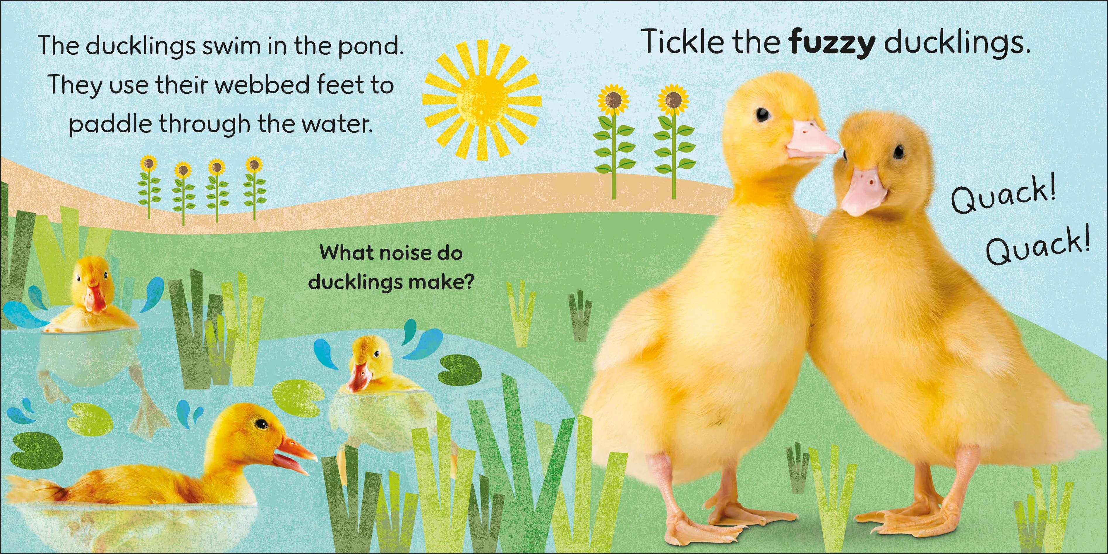 Touch and Feel Farm - Image 3