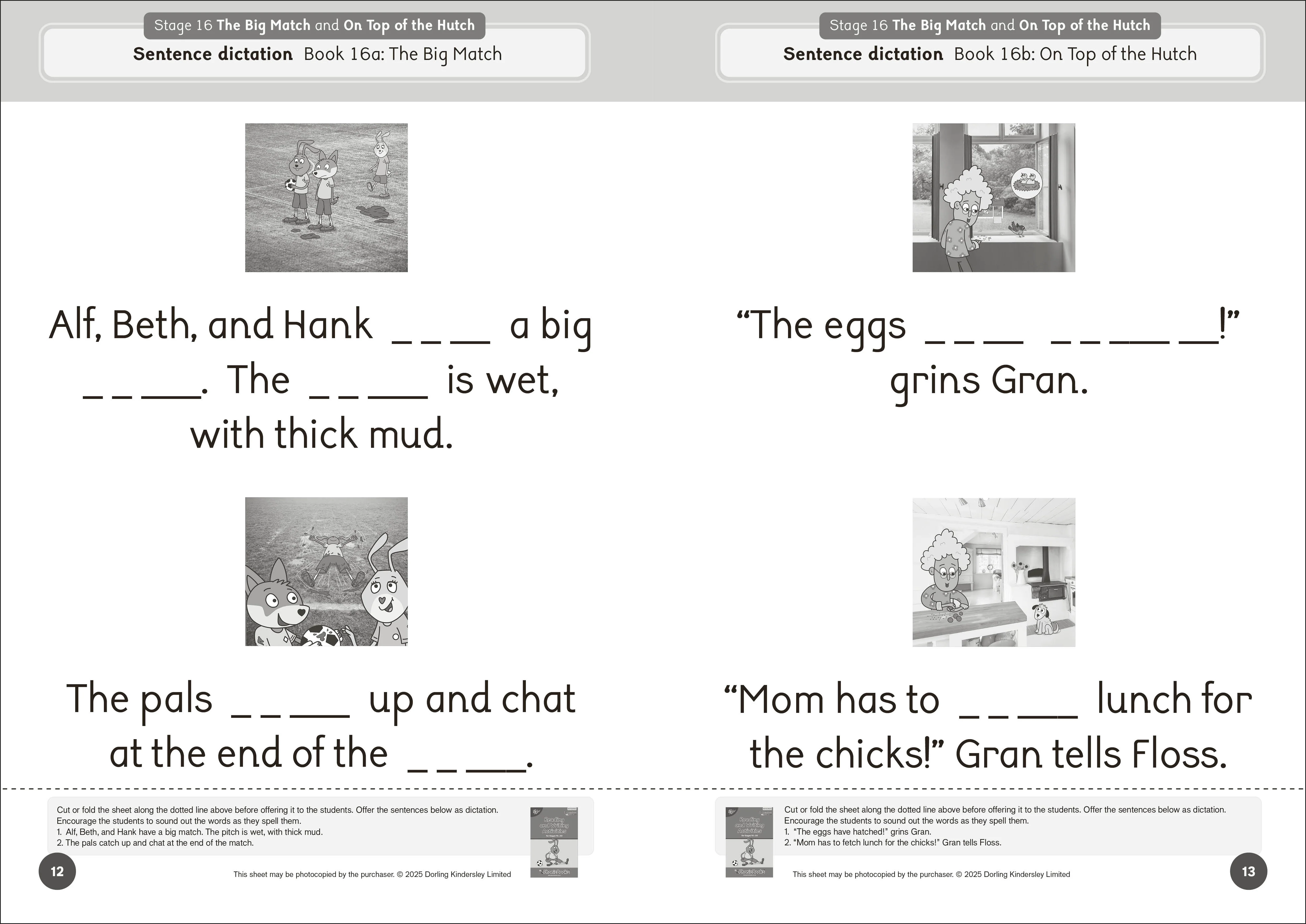 Phonic Books Dandelion Launchers Extras Stages 16-20 Reading and Writing Activities - Image 3