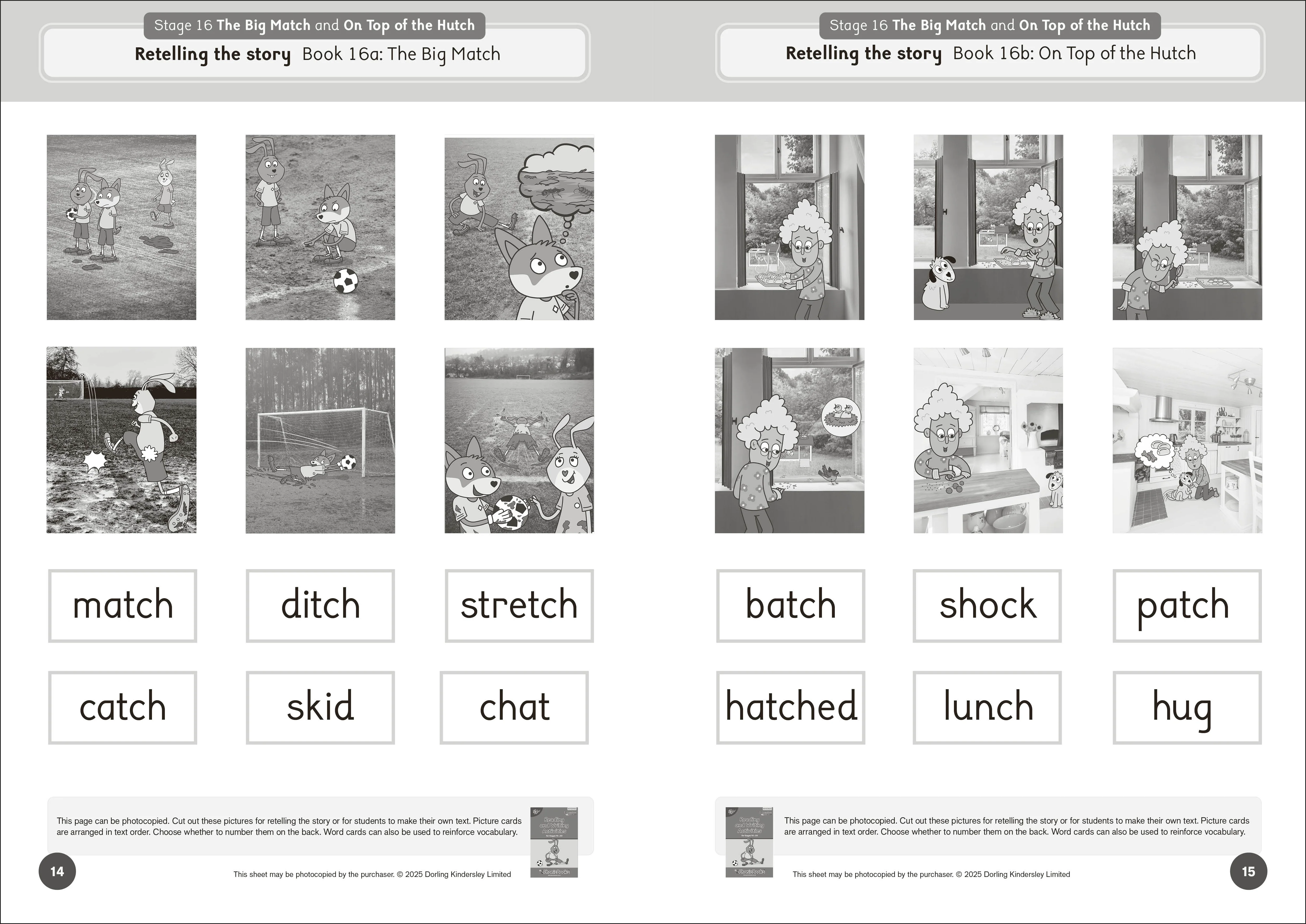 Phonic Books Dandelion Launchers Extras Stages 16-20 Reading and Writing Activities - Image 4