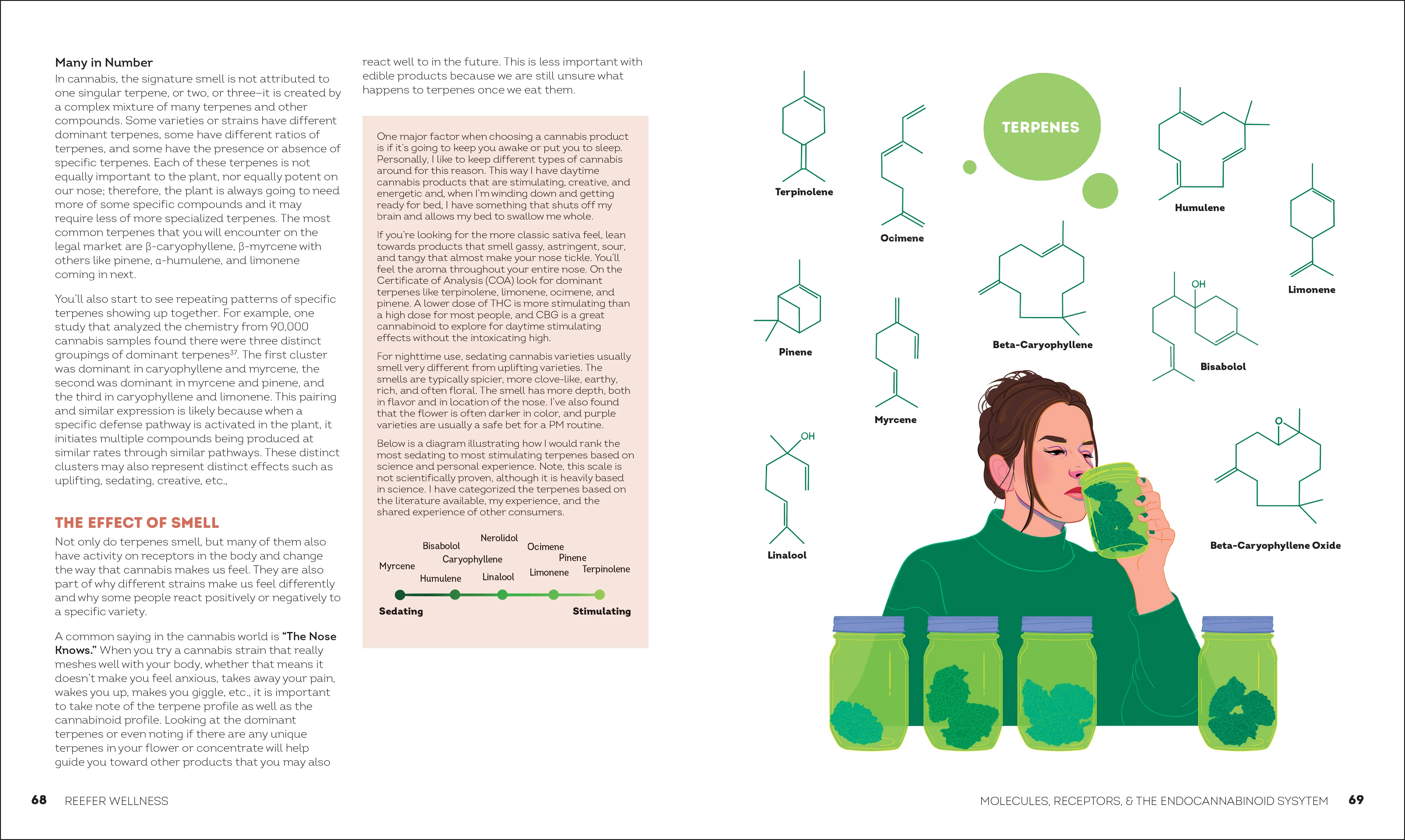 Reefer Wellness - Image 7