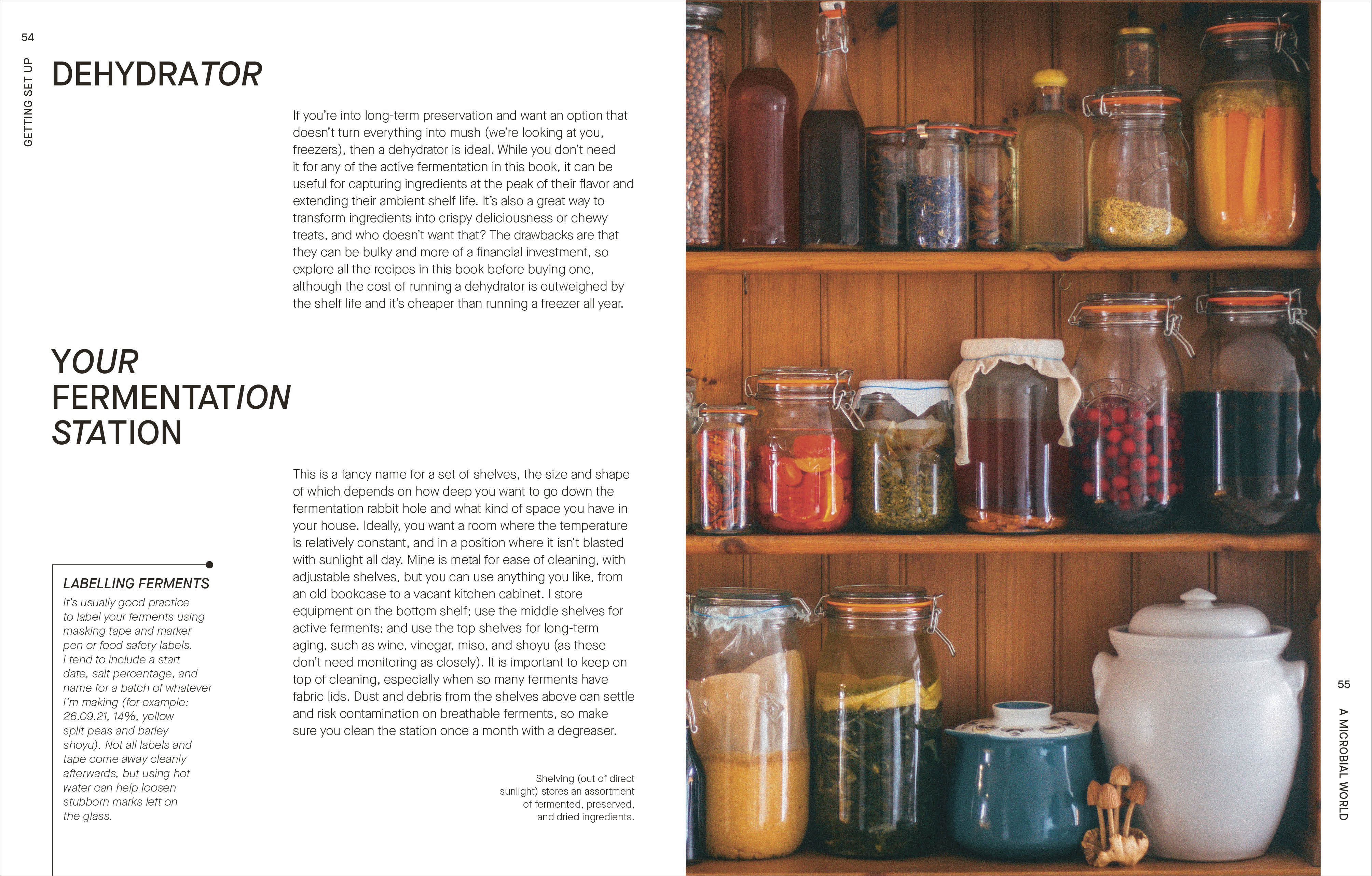 The Fermentation Kitchen - Image 3