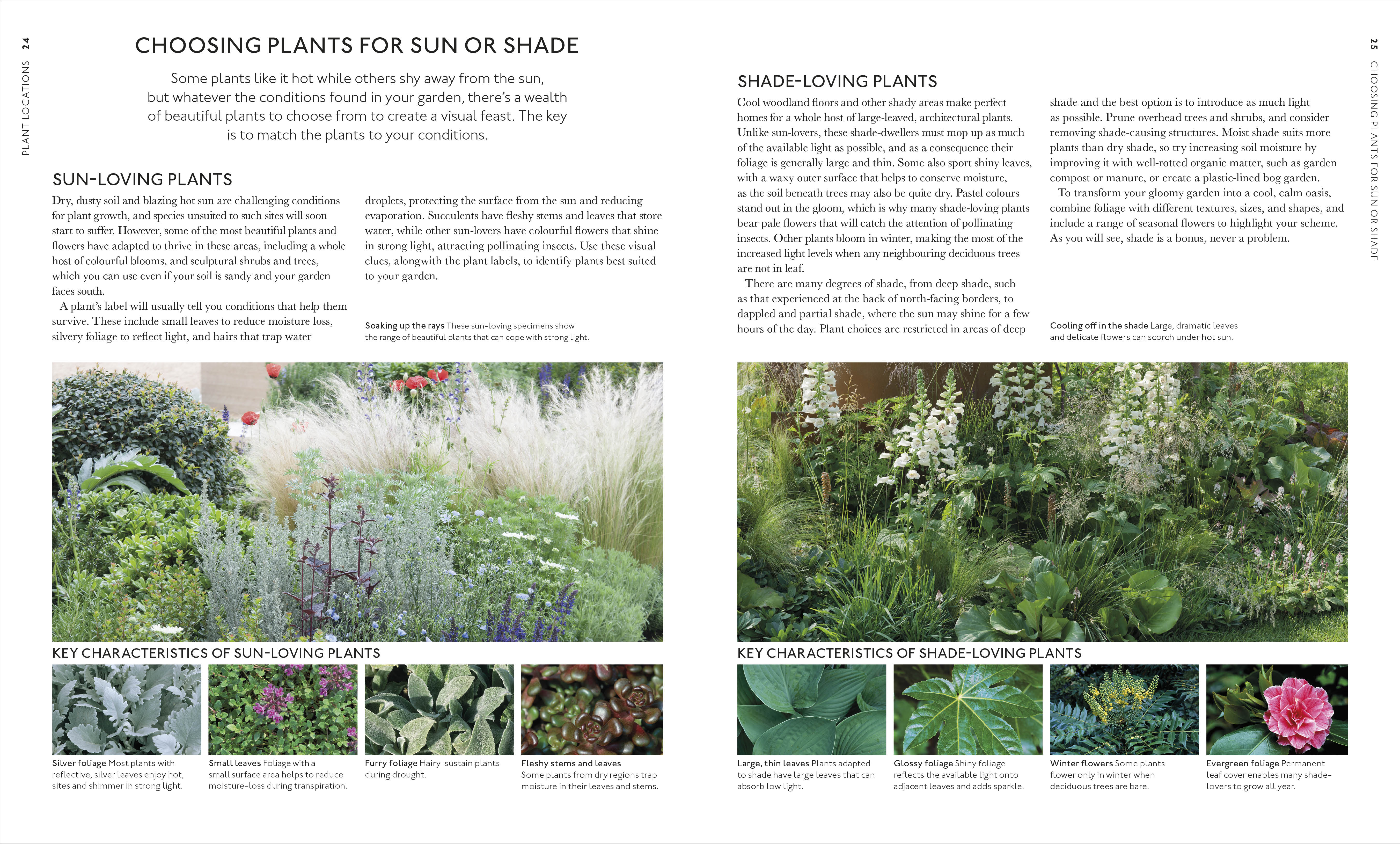 Encyclopedia of Garden Plants for Every Location - Image 4