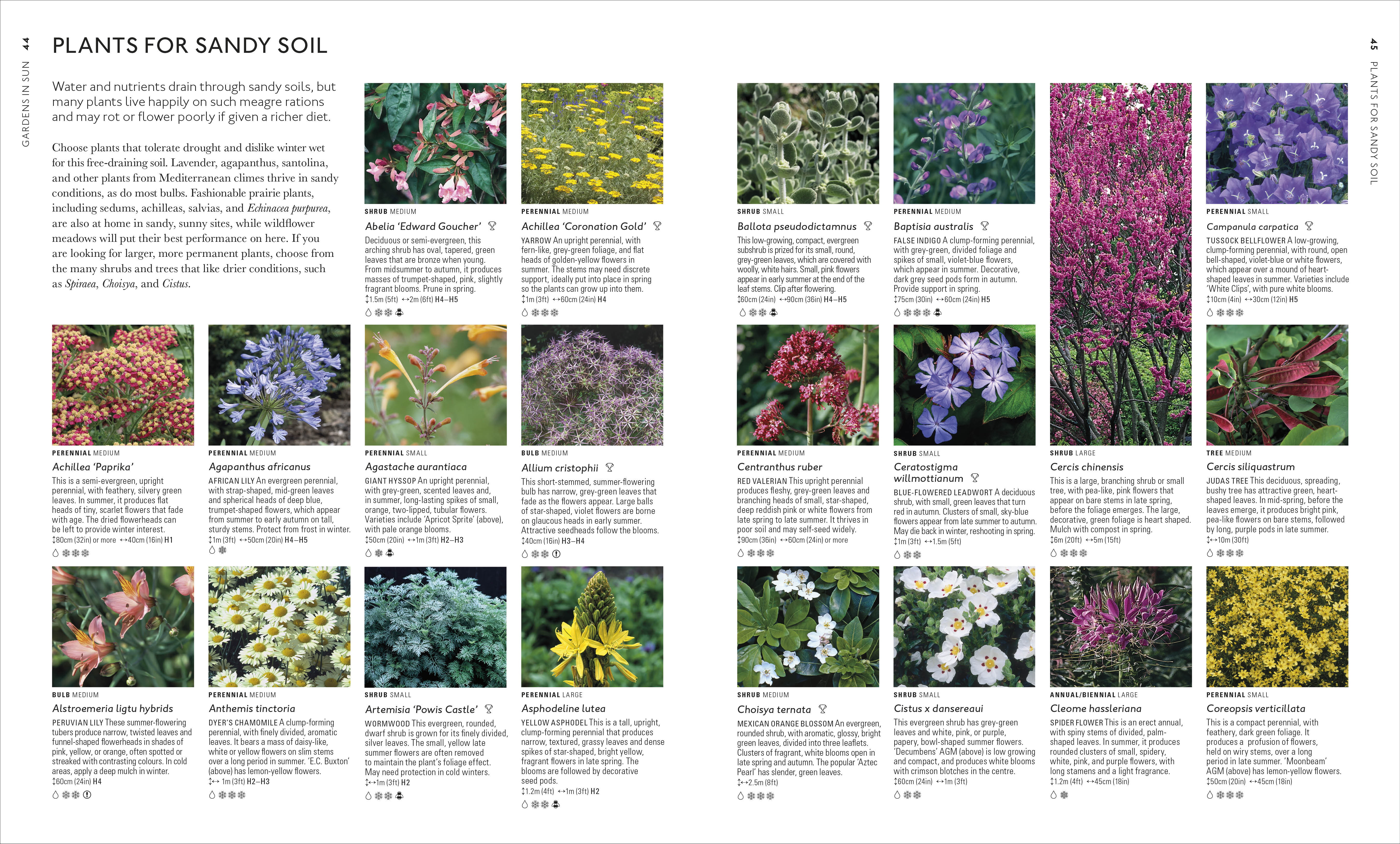 Encyclopedia of Garden Plants for Every Location - Image 5