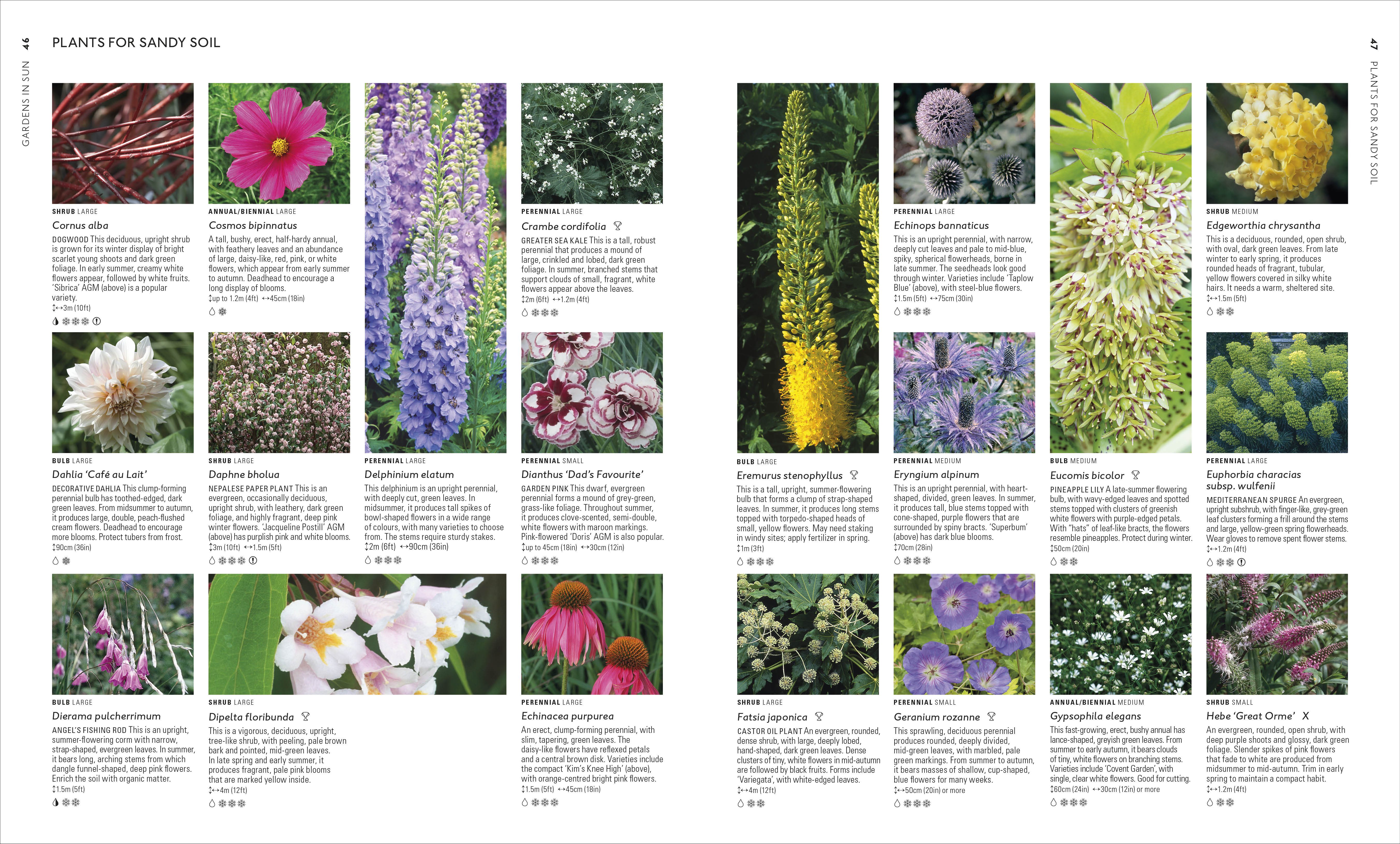 Encyclopedia of Garden Plants for Every Location - Image 6
