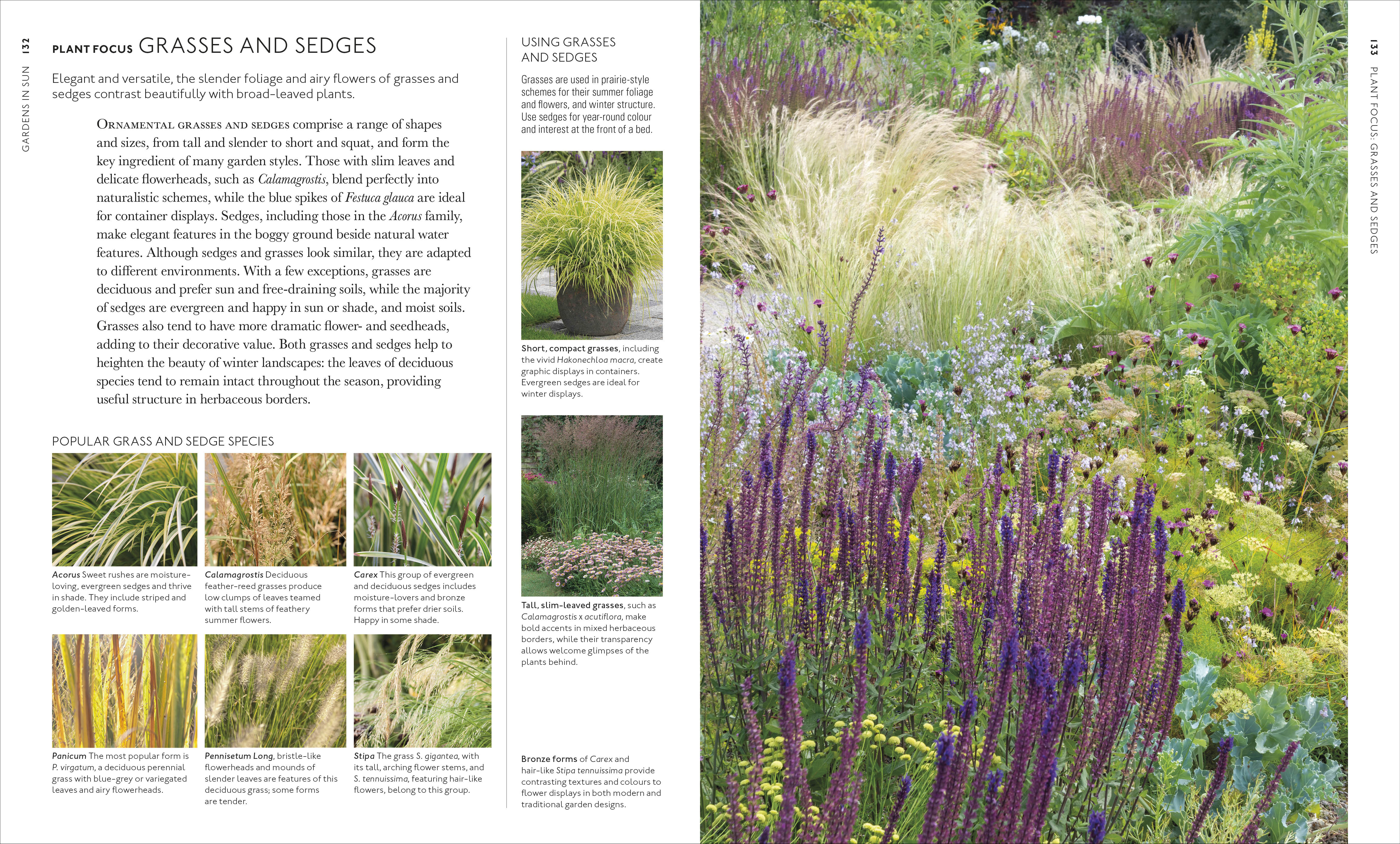 Encyclopedia of Garden Plants for Every Location - Image 7