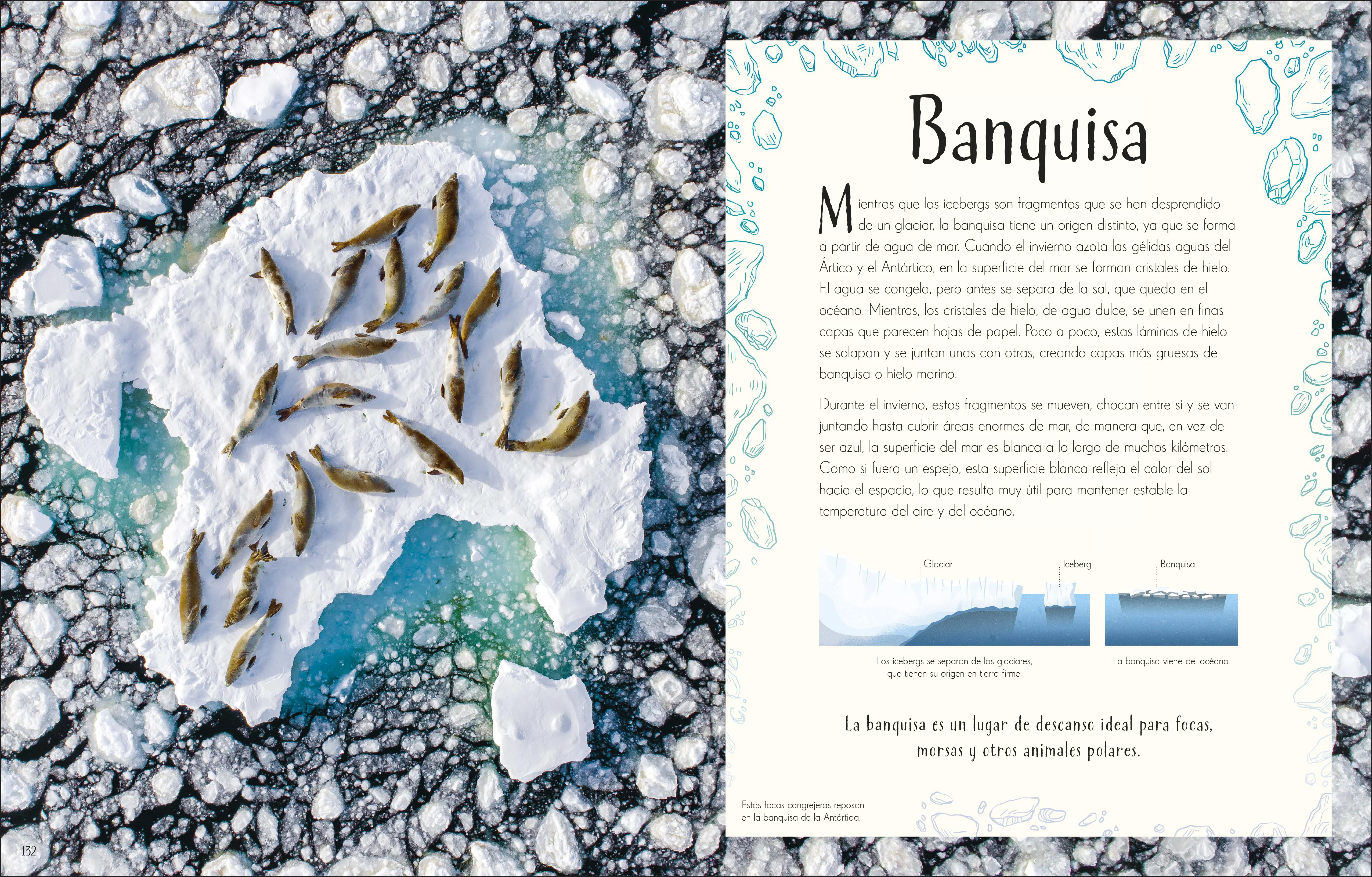 Maravillas del Planeta Tierra (An Anthology of Our Extraordinary Earth) - Image 6