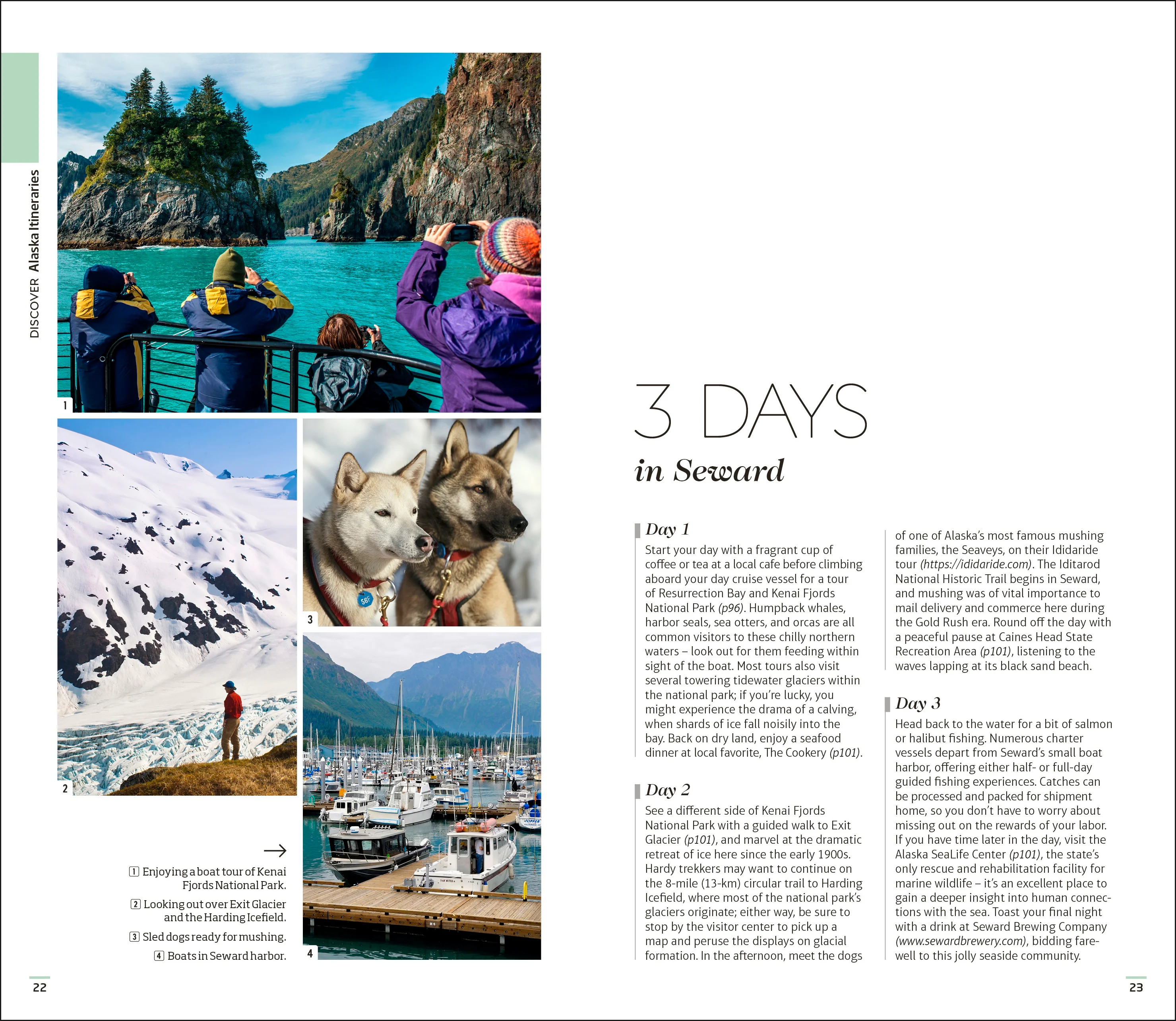 DK Alaska - Image 4