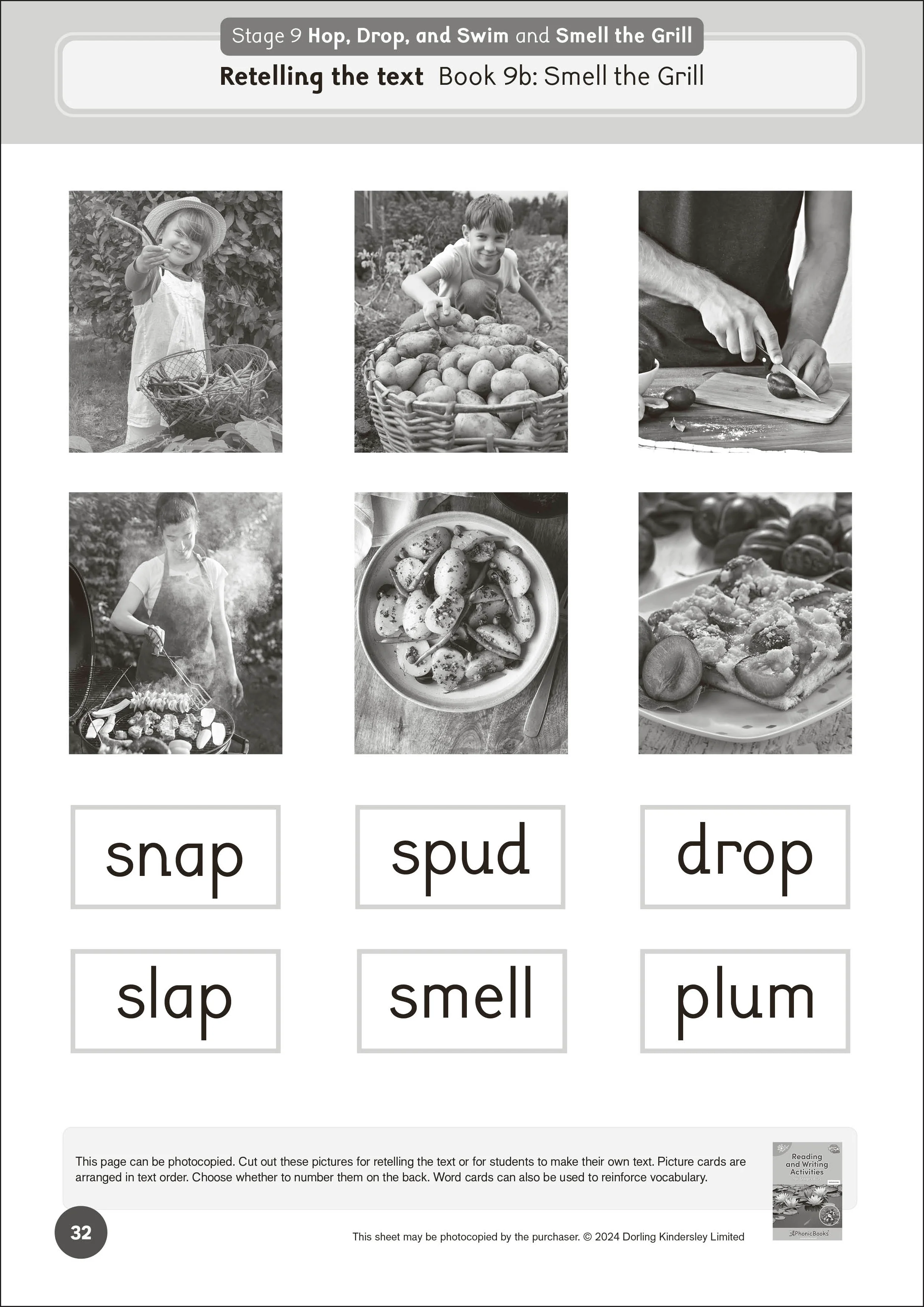 Phonic Books Dandelion World Extras Stages 8-15 Activities - Image 2
