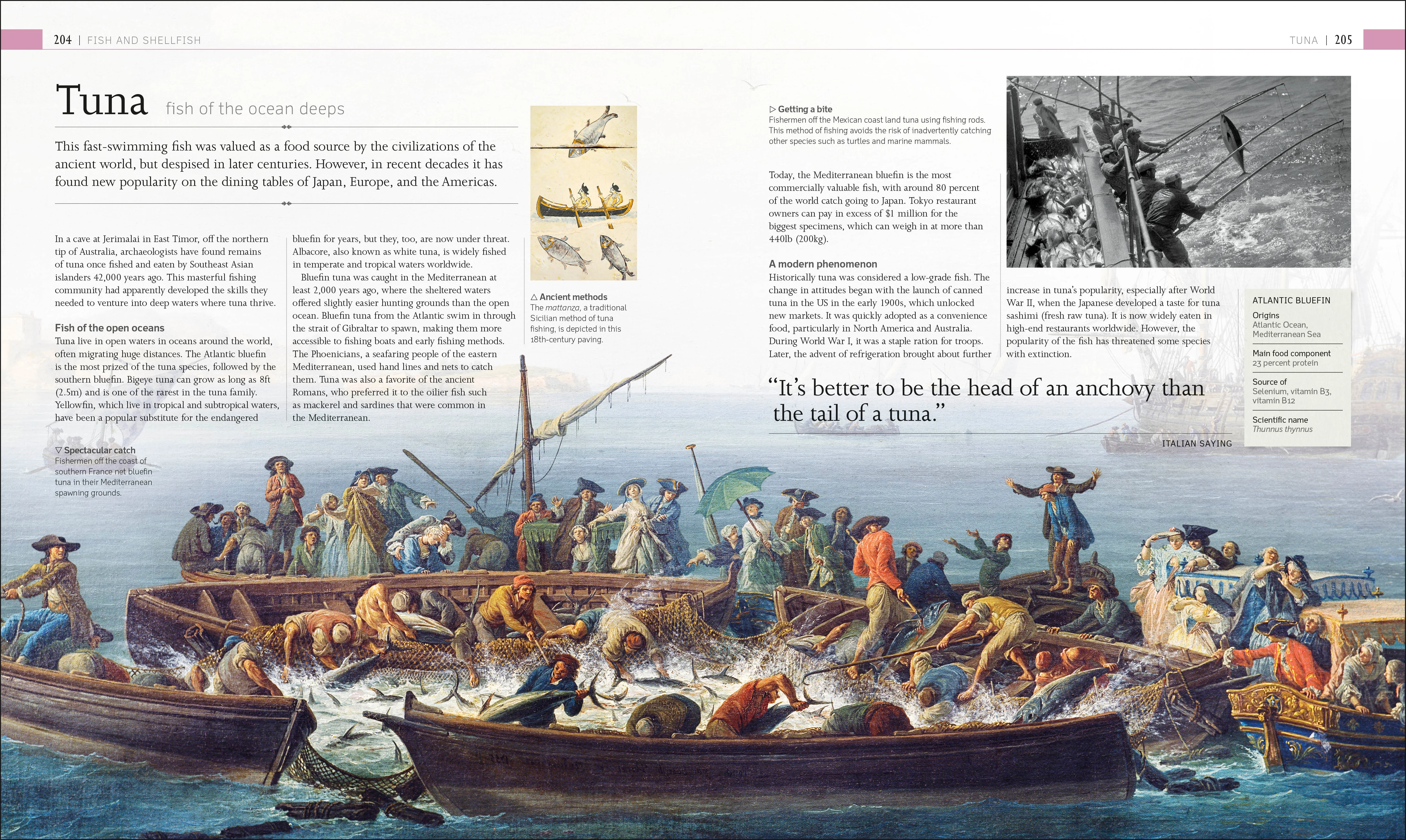 The Food Book - Image 4
