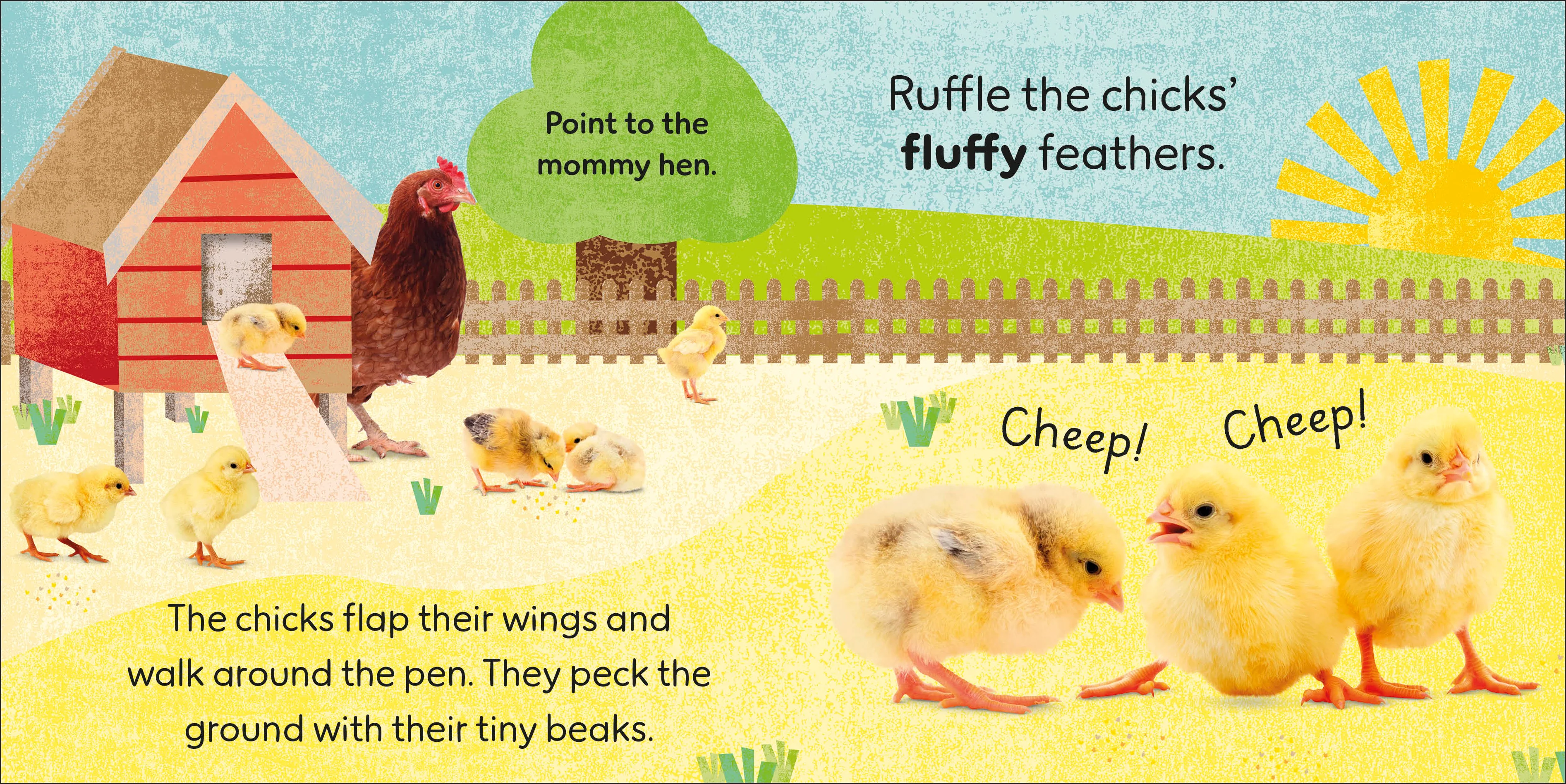 Touch and Feel Baby Animals - Image 4