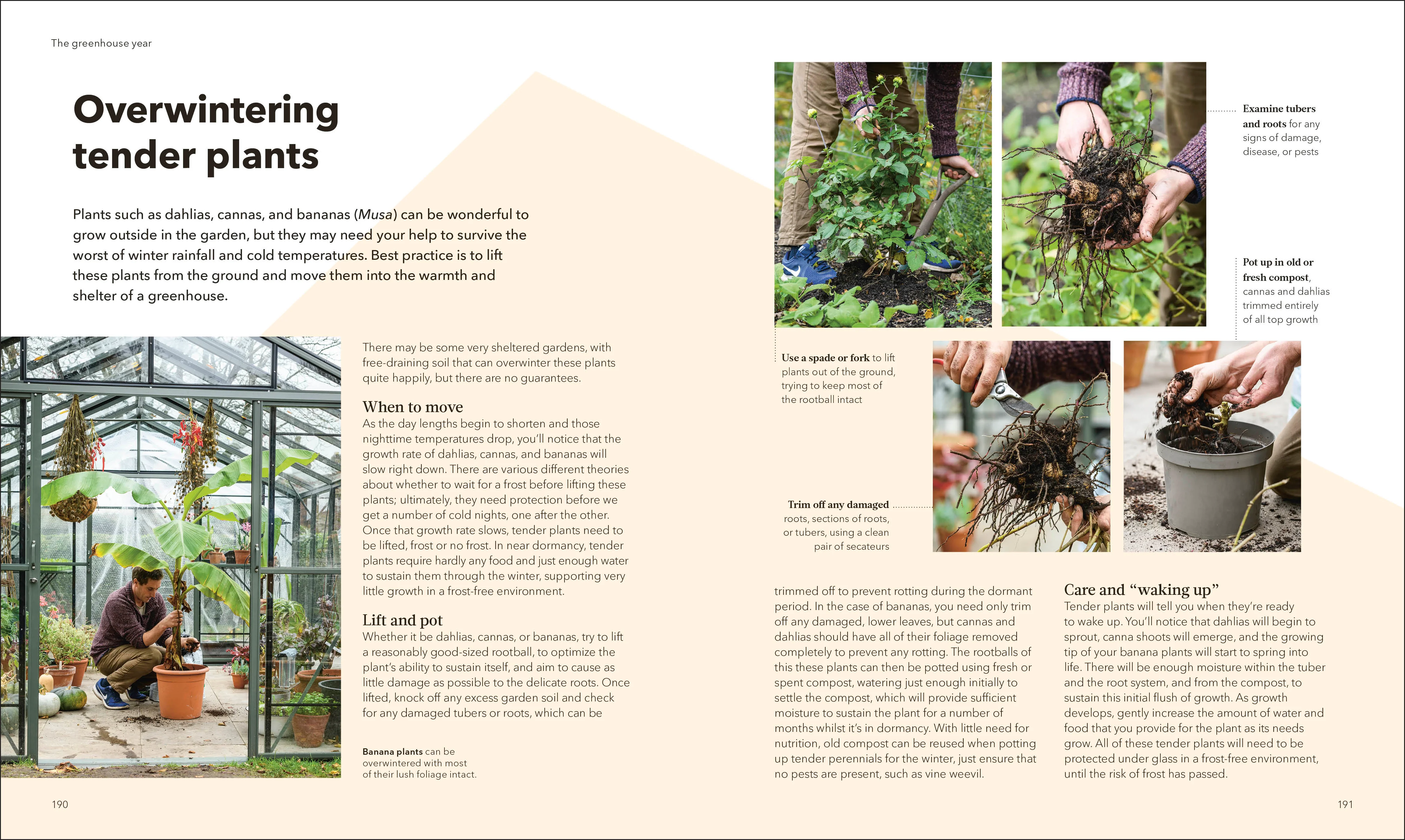 The Greenhouse Book - Image 6