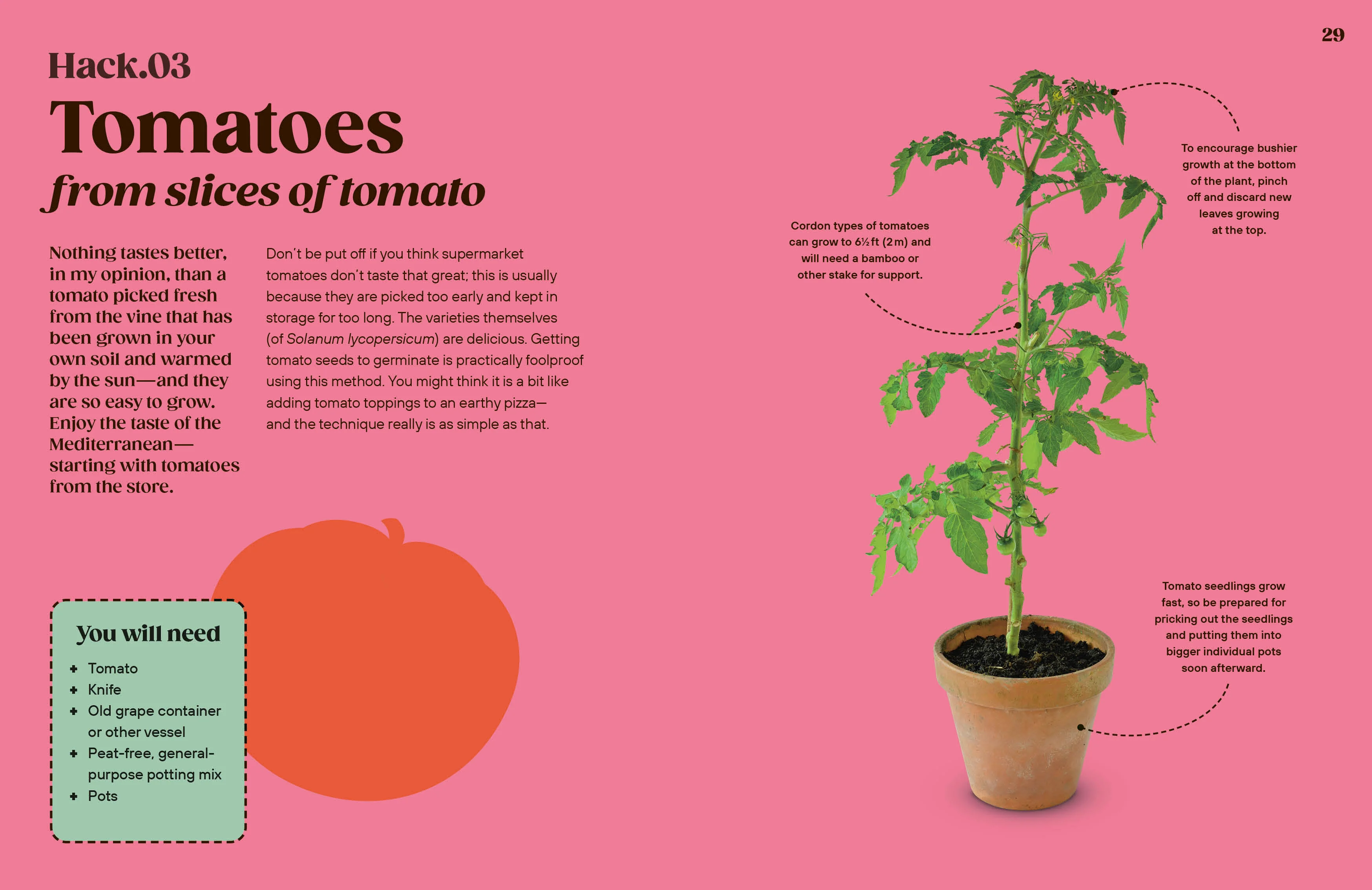 Grow Your Groceries - Image 3