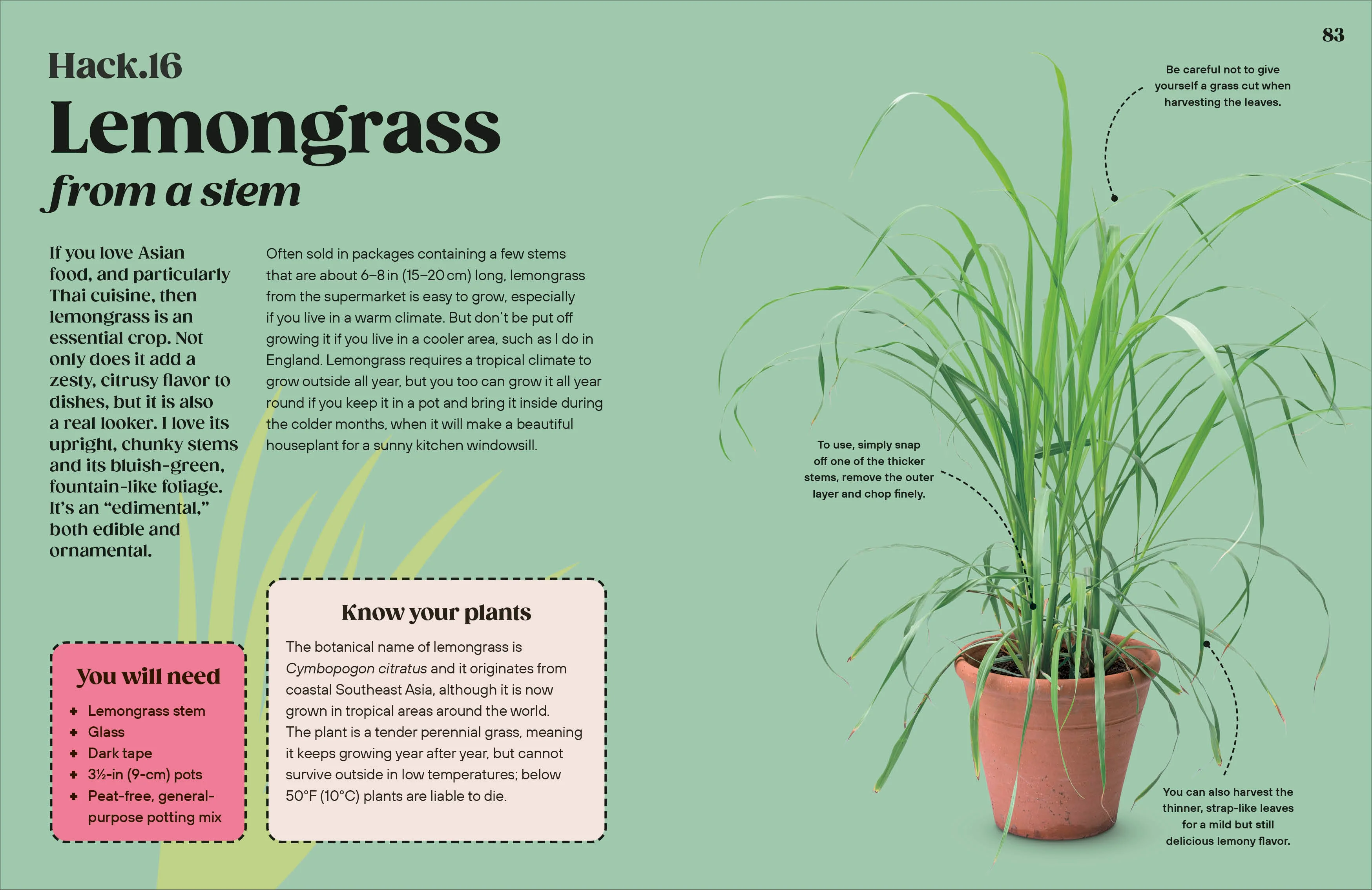 Grow Your Groceries - Image 5