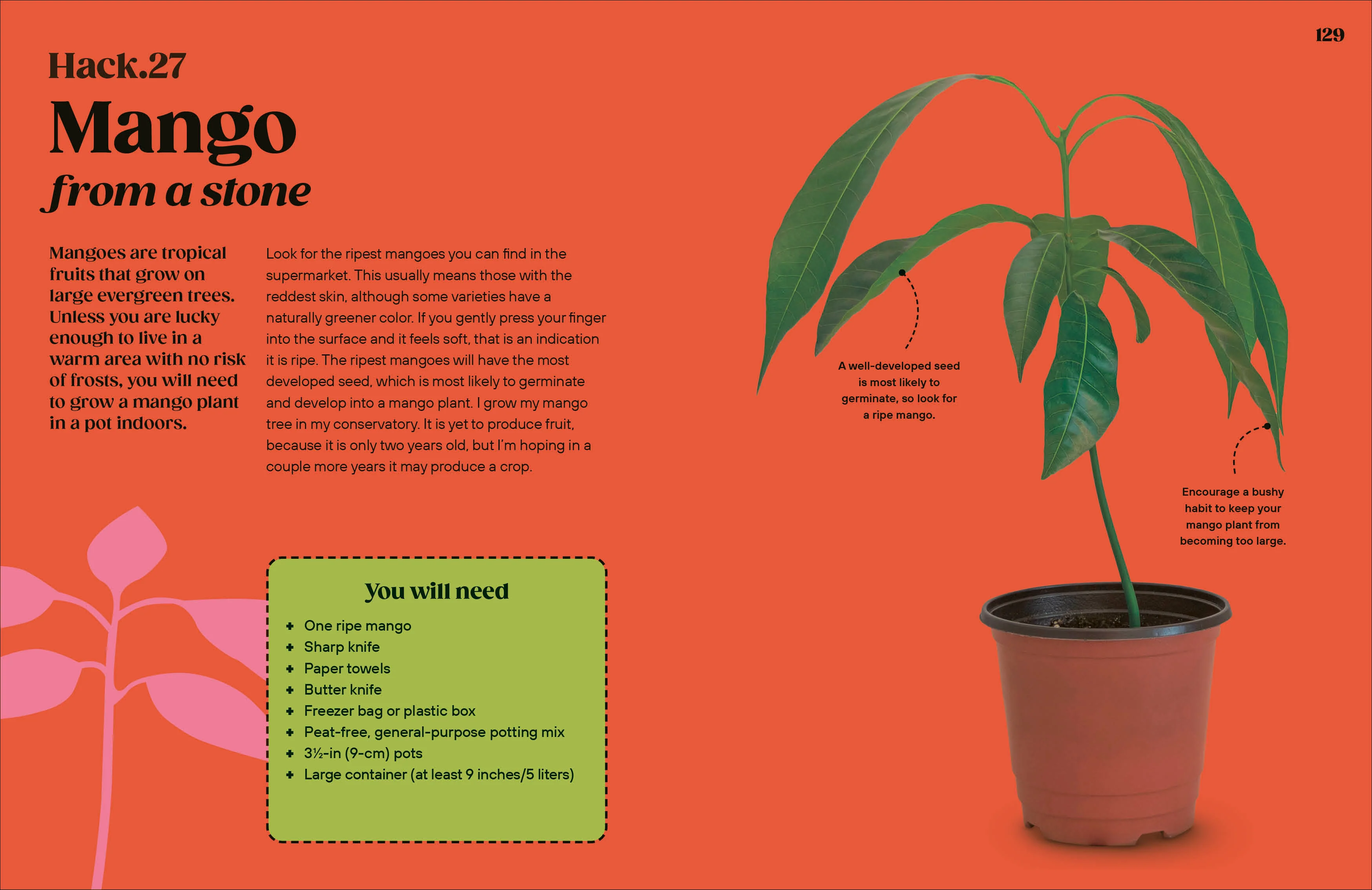 Grow Your Groceries - Image 6