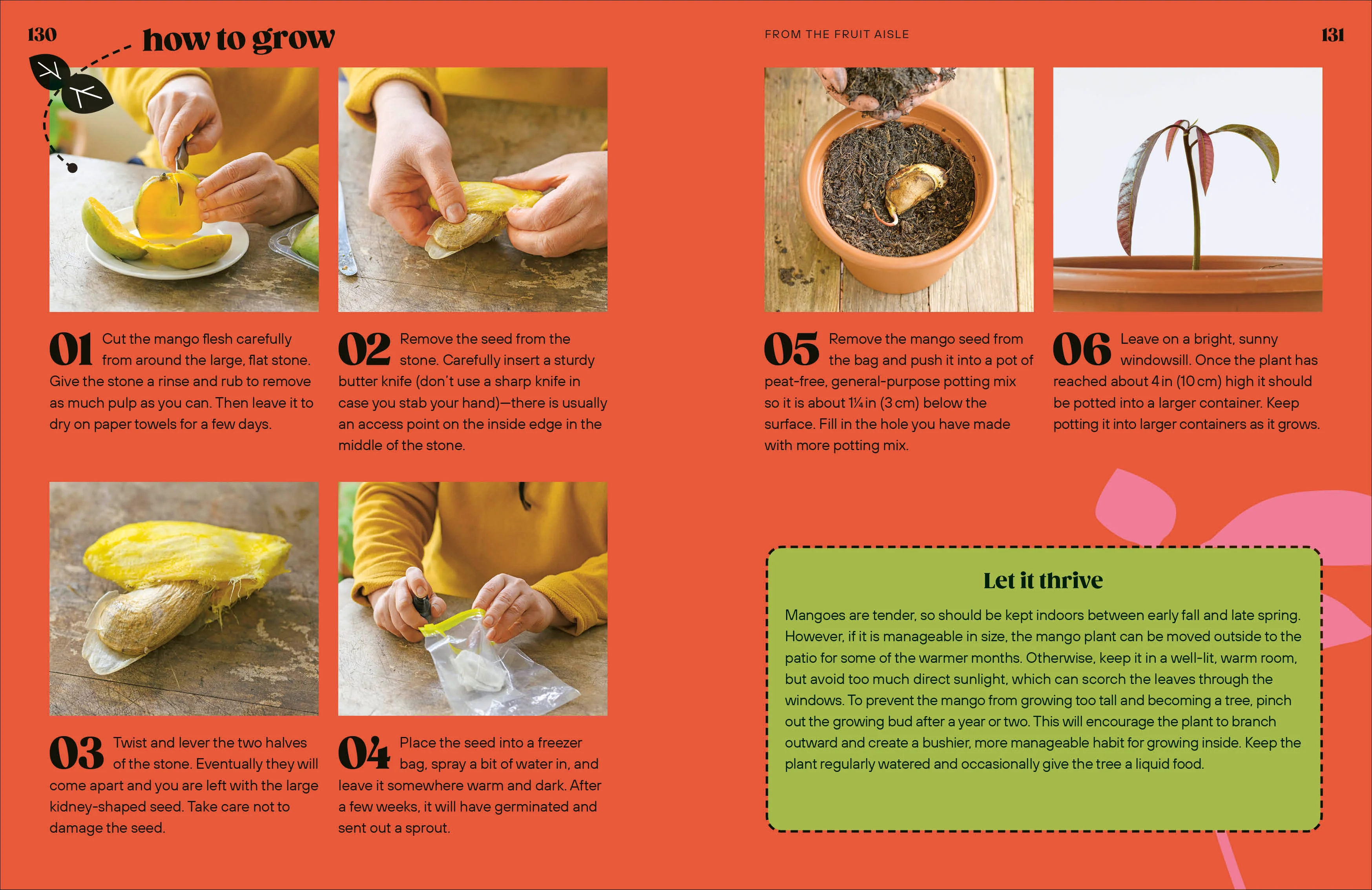 Grow Your Groceries - Image 7