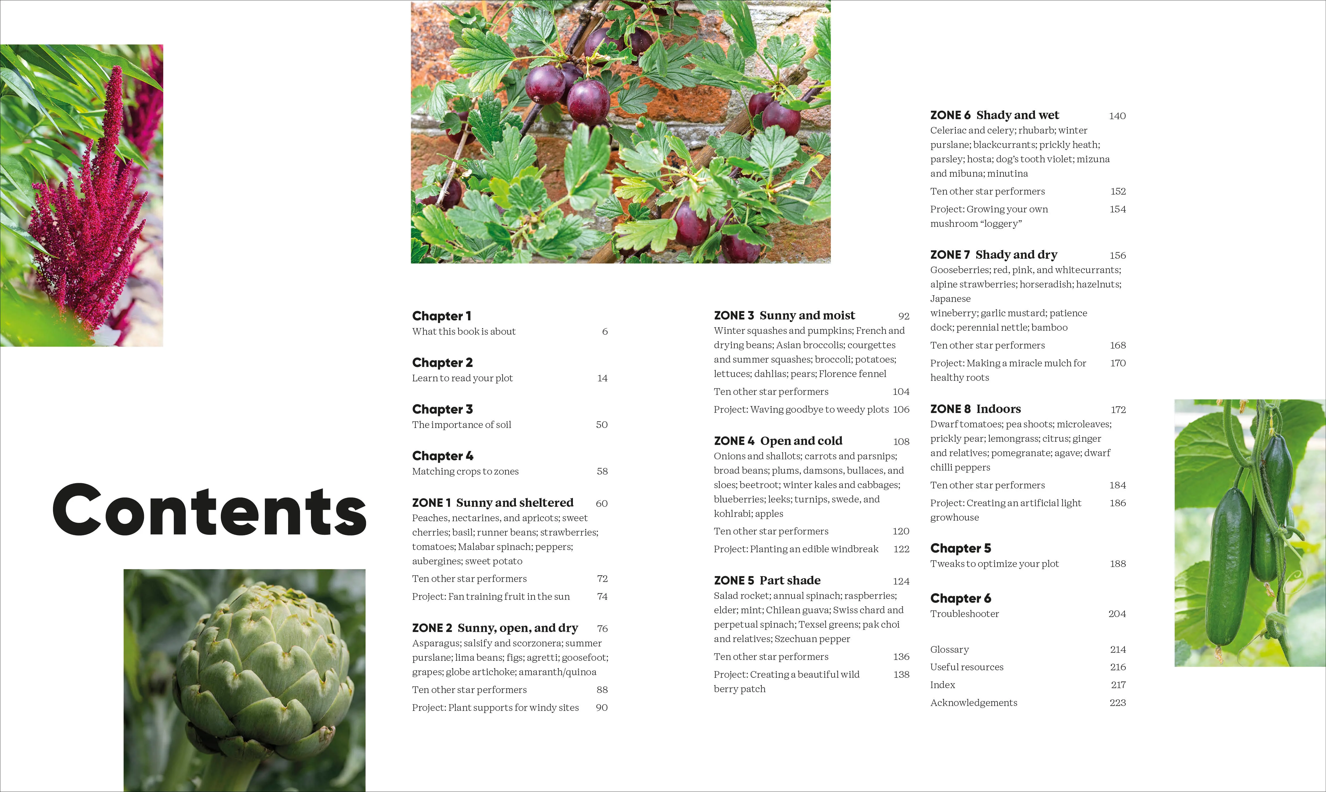 Grow Food Anywhere - Image 2