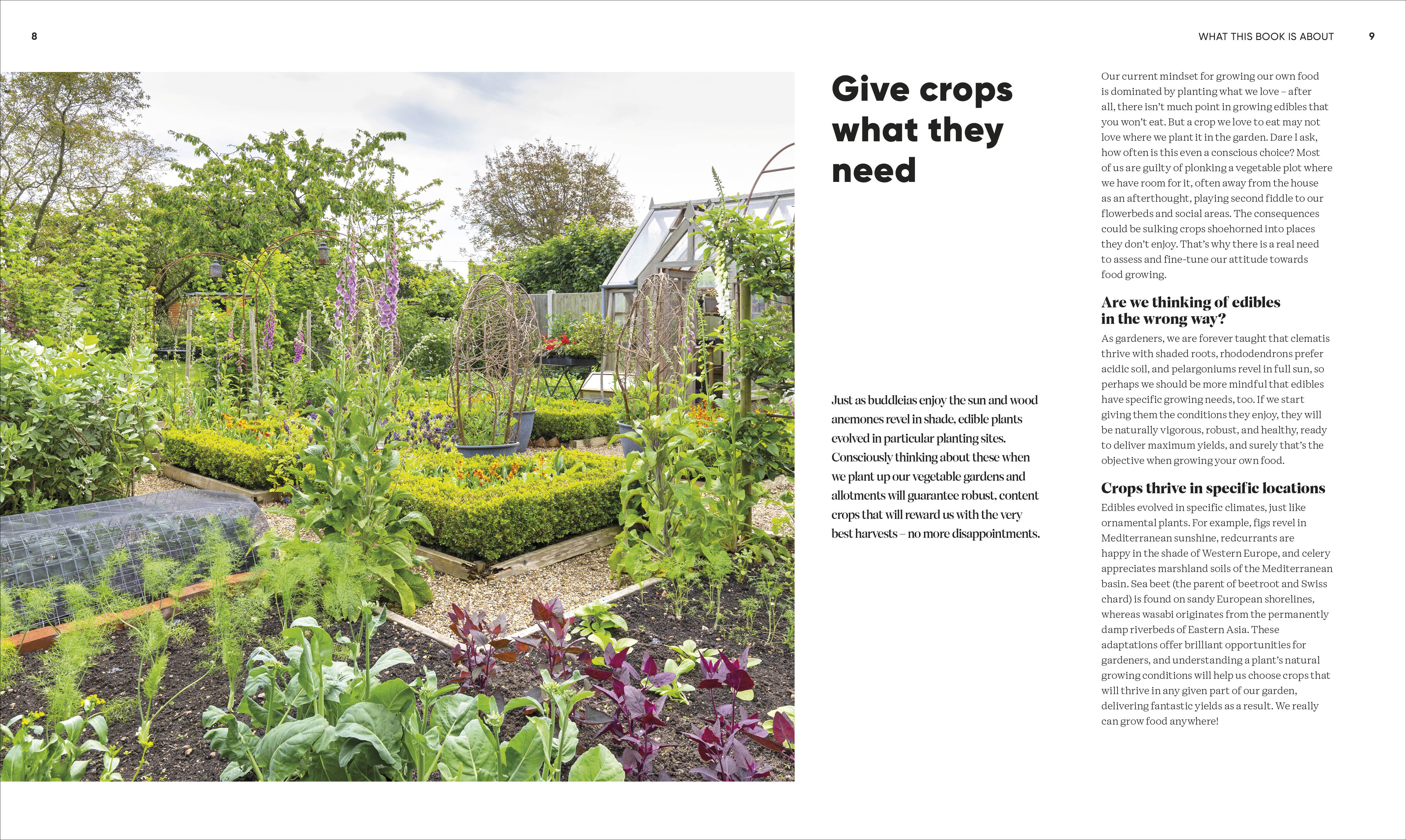 Grow Food Anywhere - Image 3