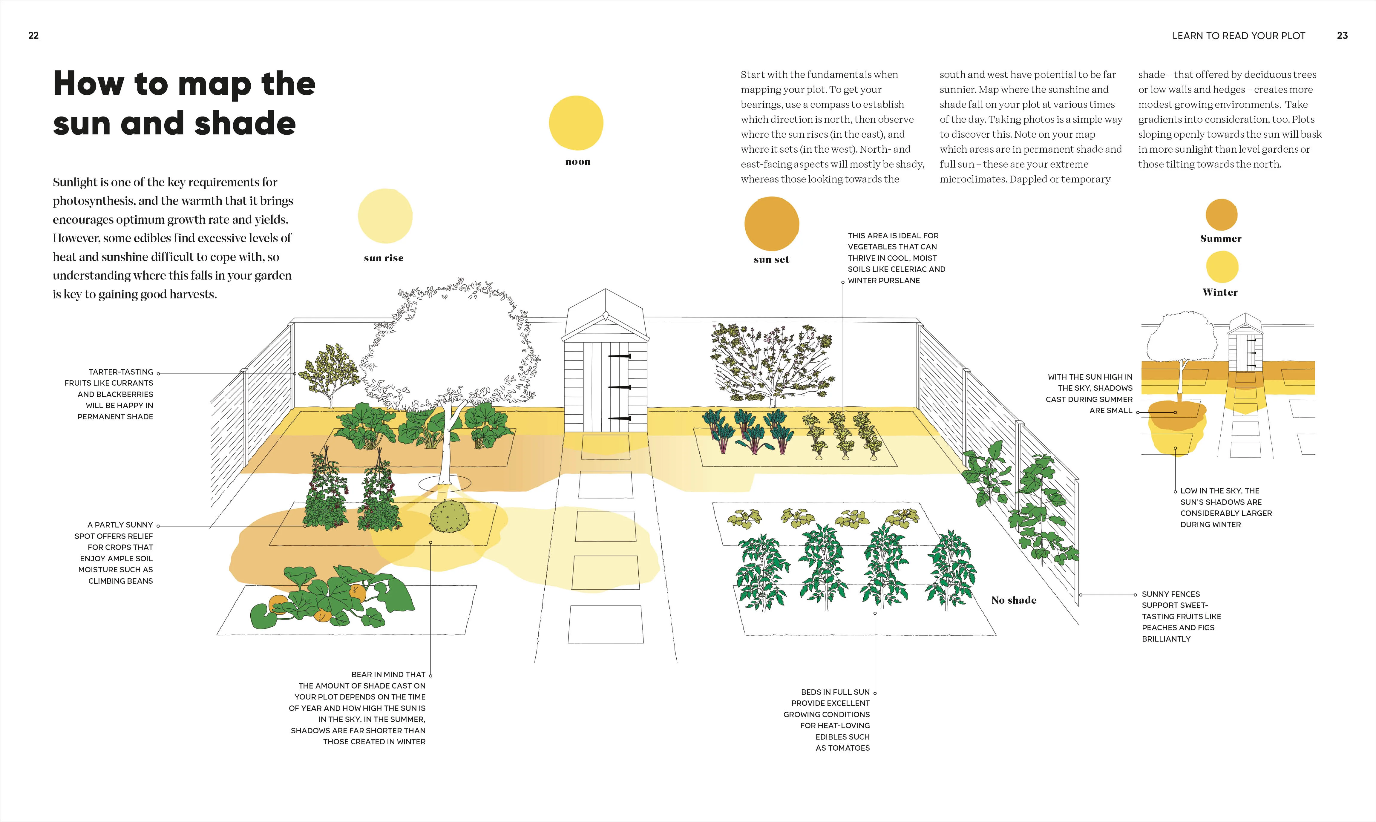 Grow Food Anywhere - Image 5