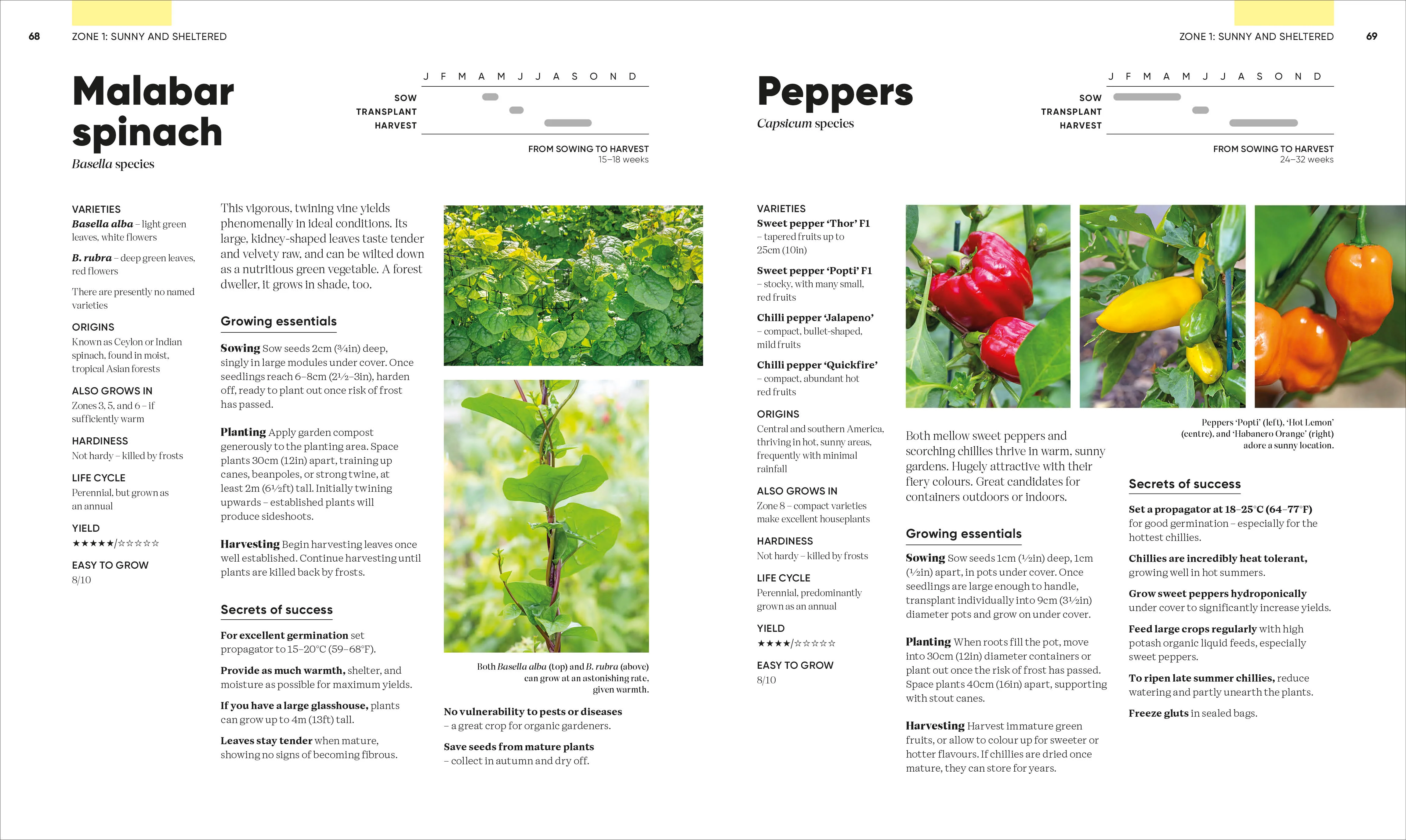 Grow Food Anywhere - Image 6