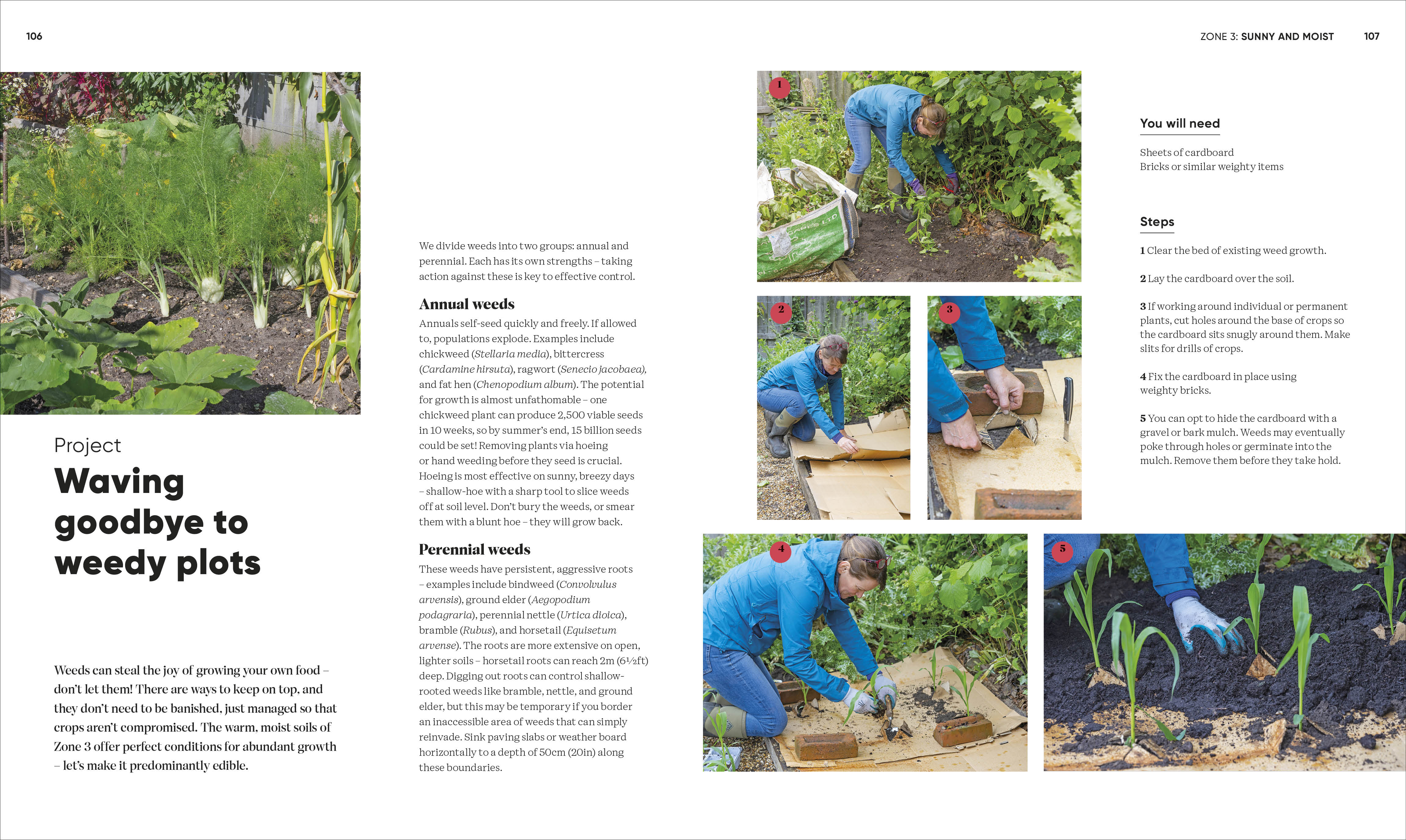 Grow Food Anywhere - Image 7