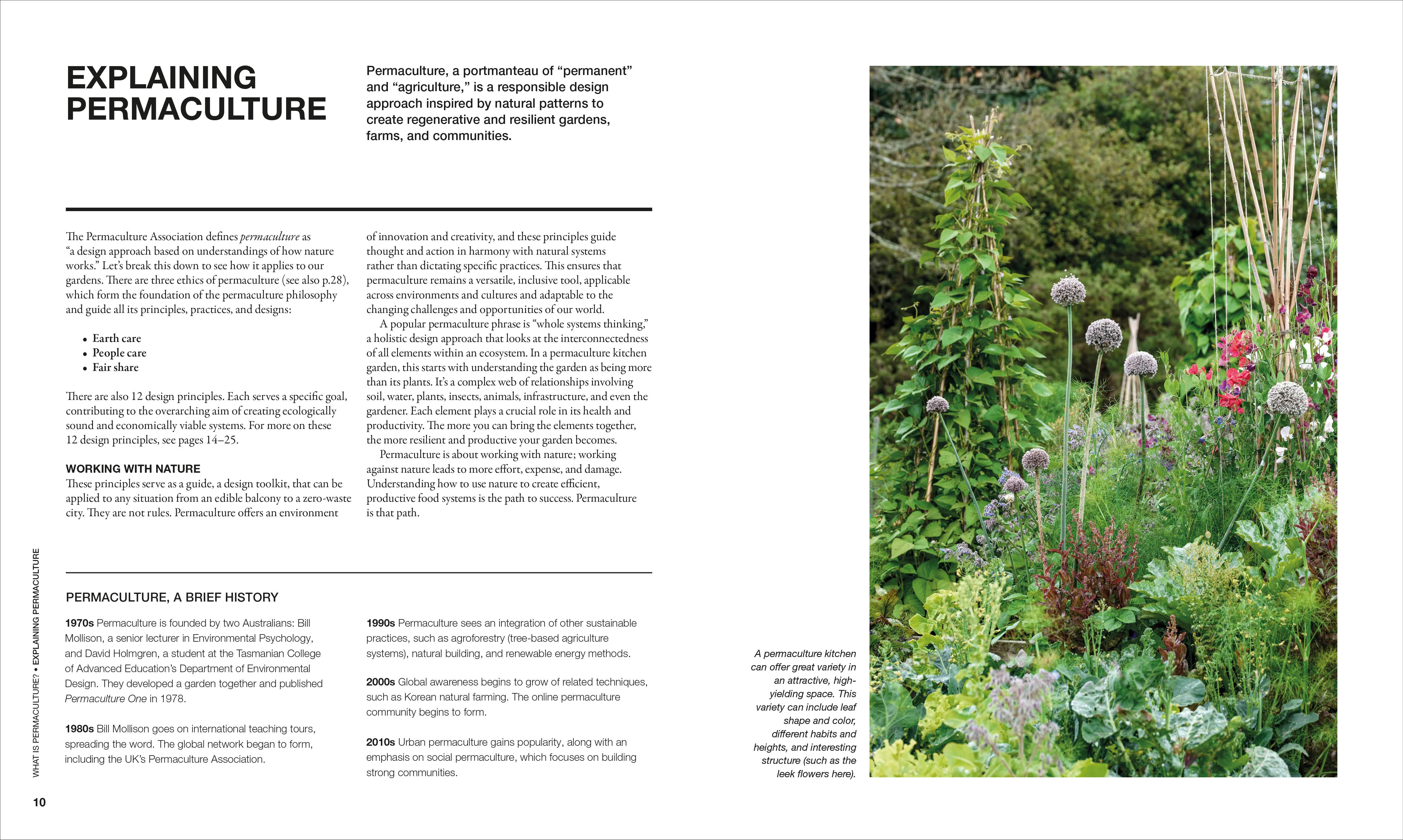 The Permaculture Garden - Image 15
