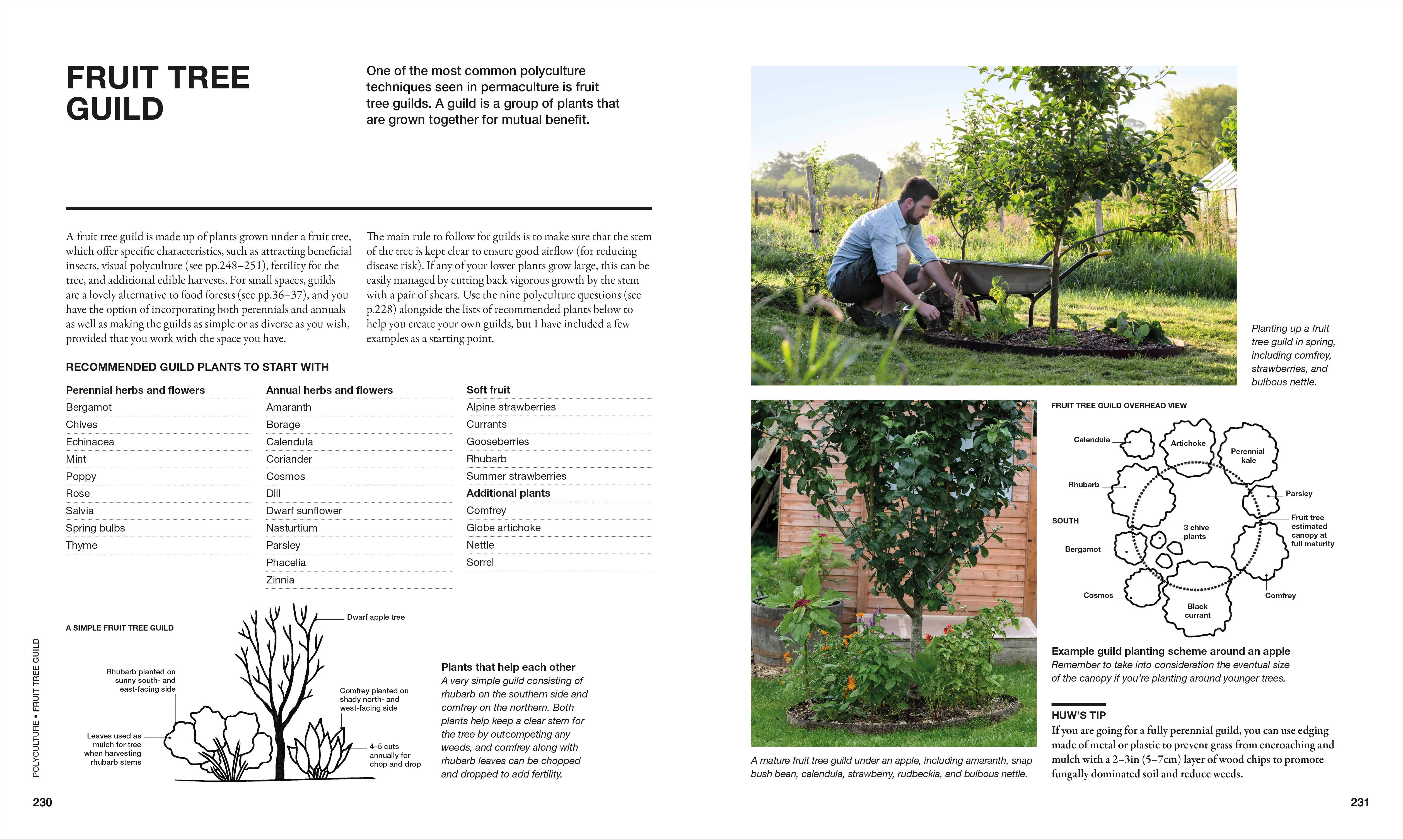 The Permaculture Garden - Image 19