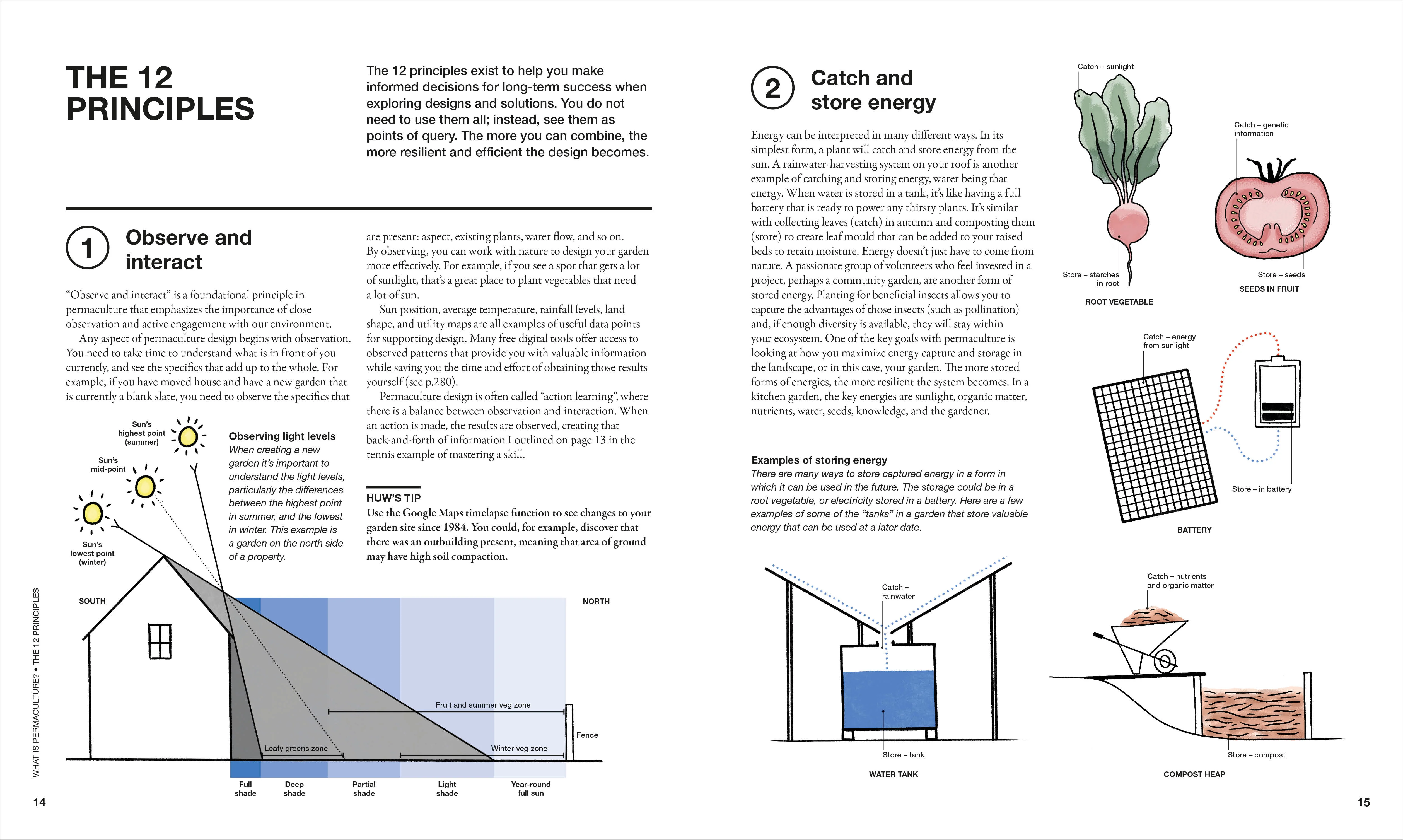 The Permaculture Garden - Image 4