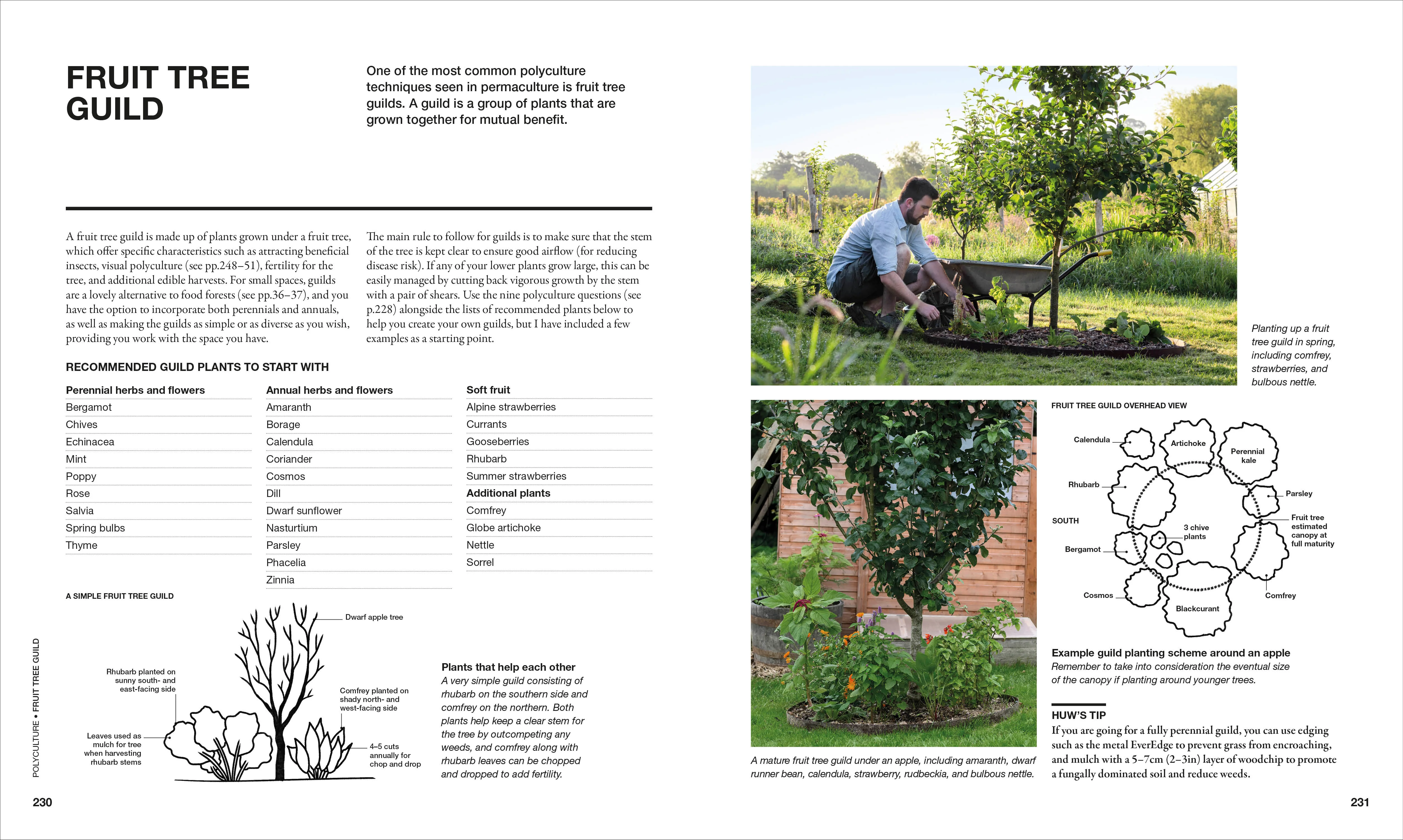 The Permaculture Garden - Image 7