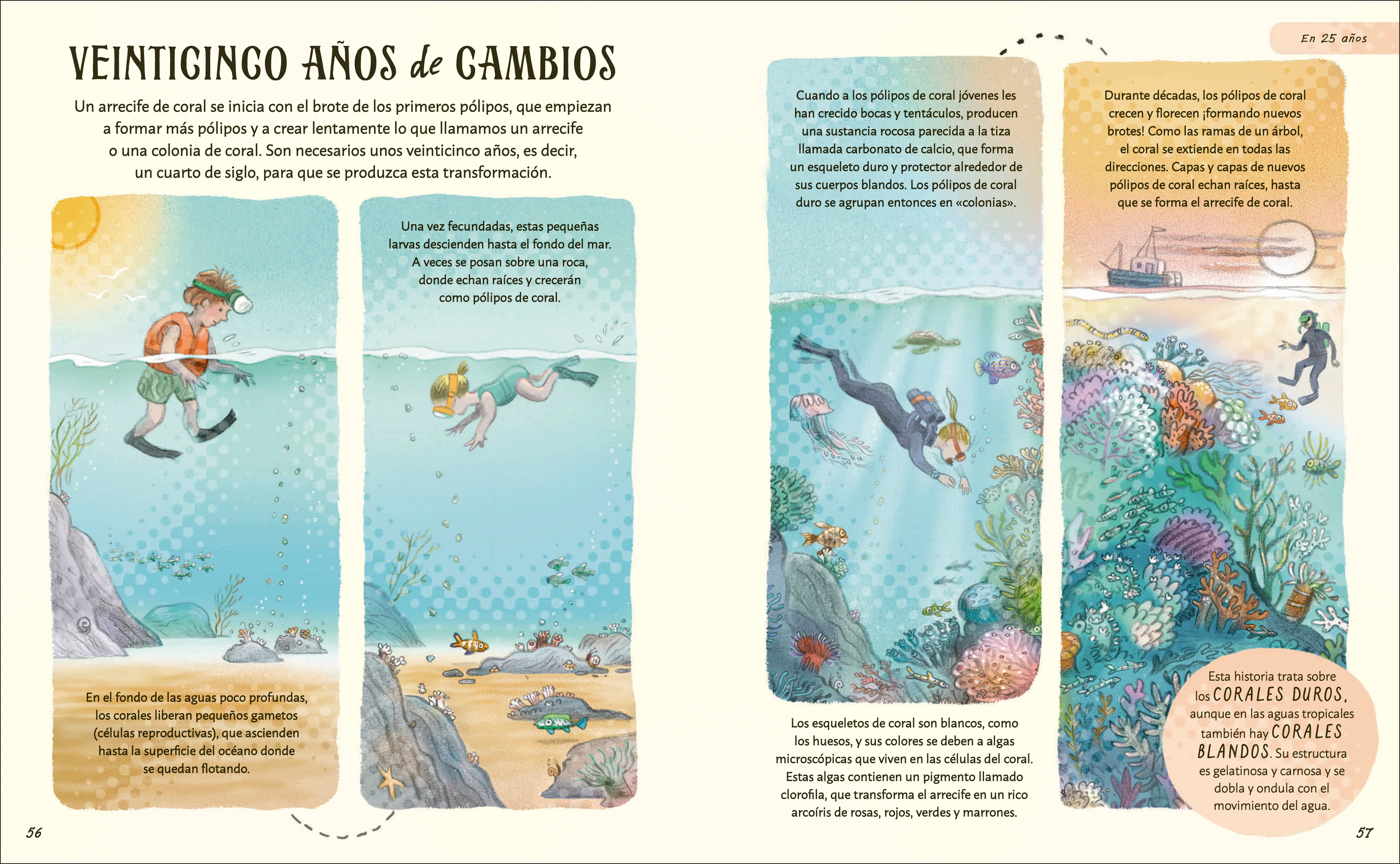 Paciencia - Image 3