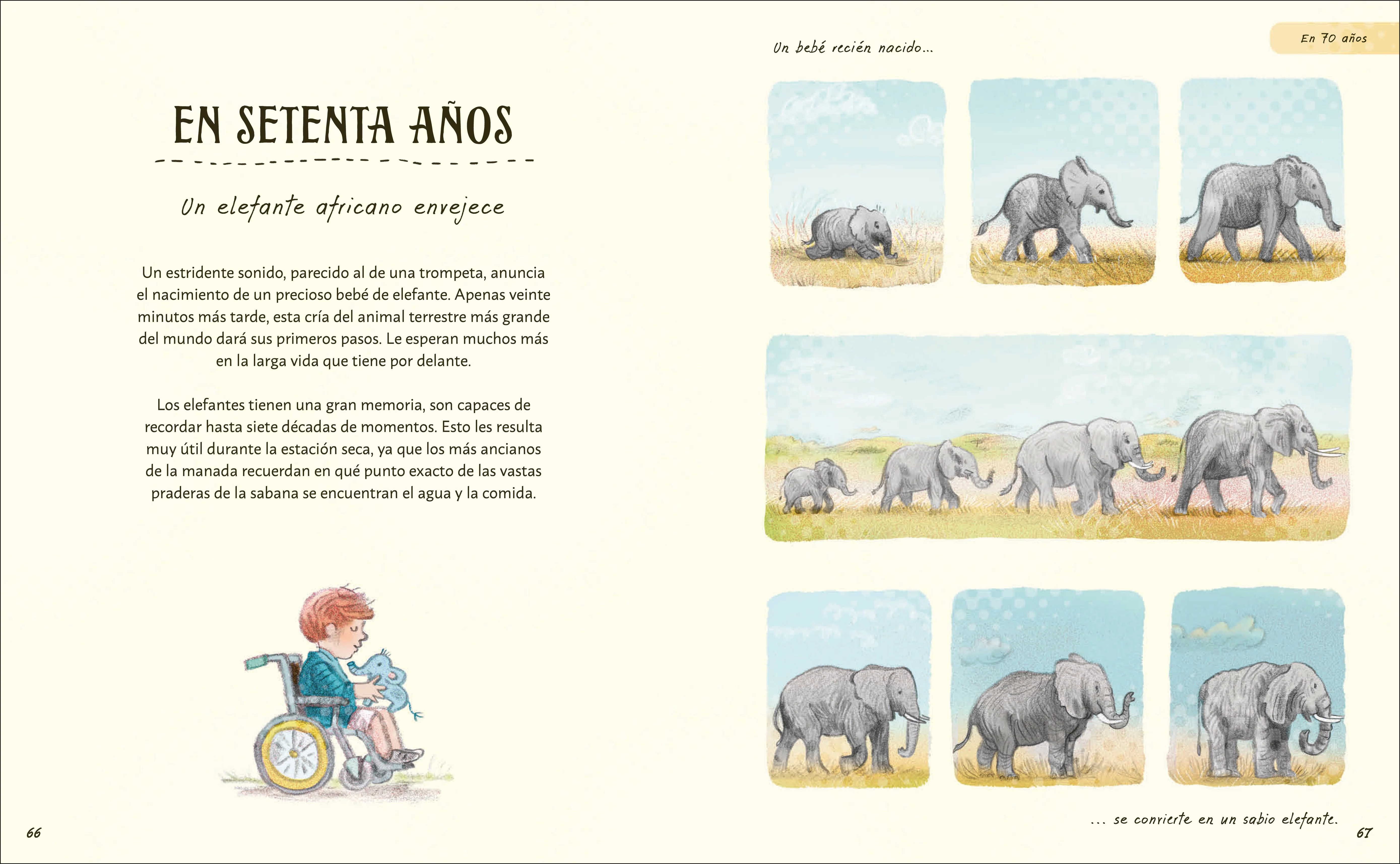 Paciencia - Image 4