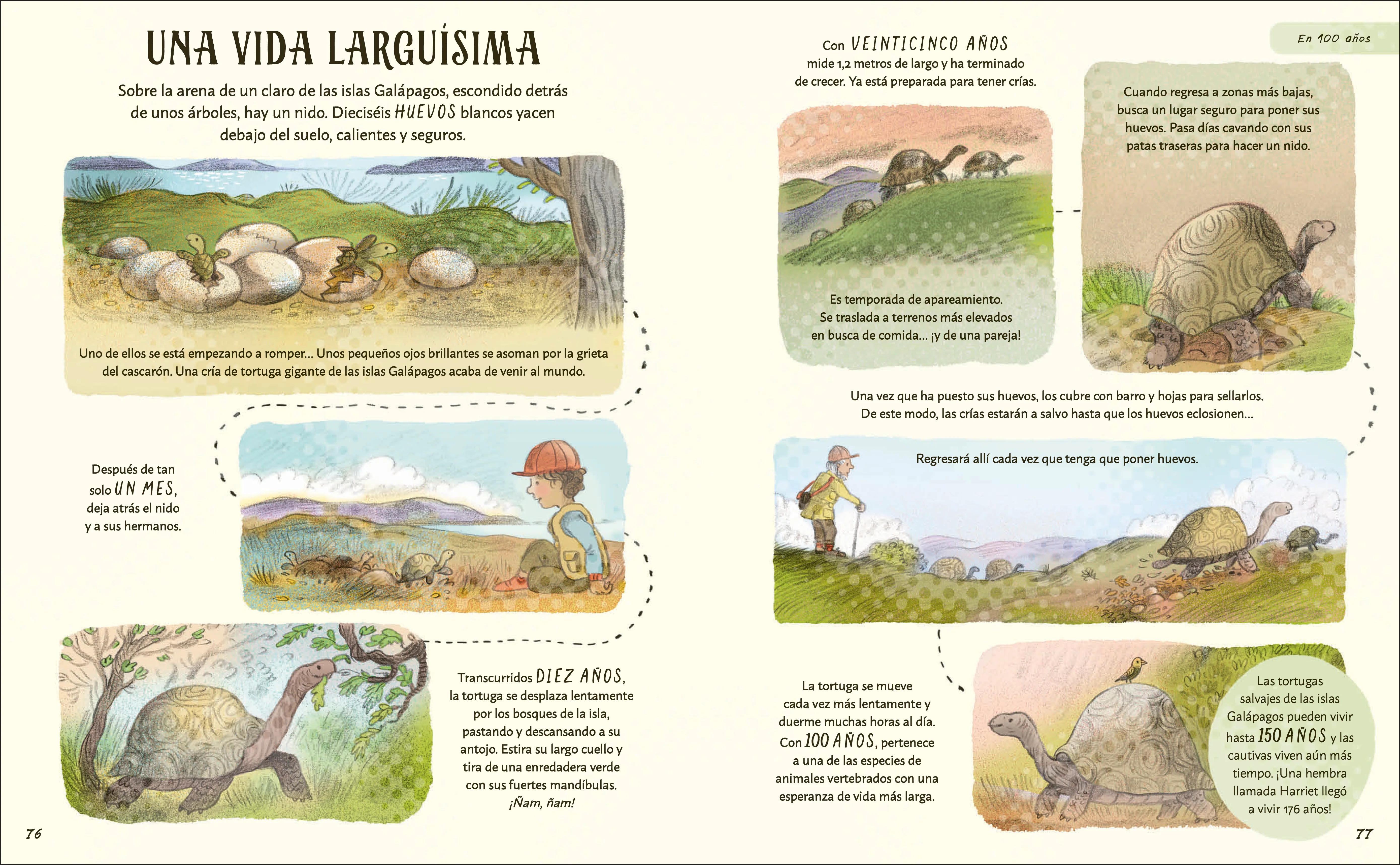 Paciencia - Image 6