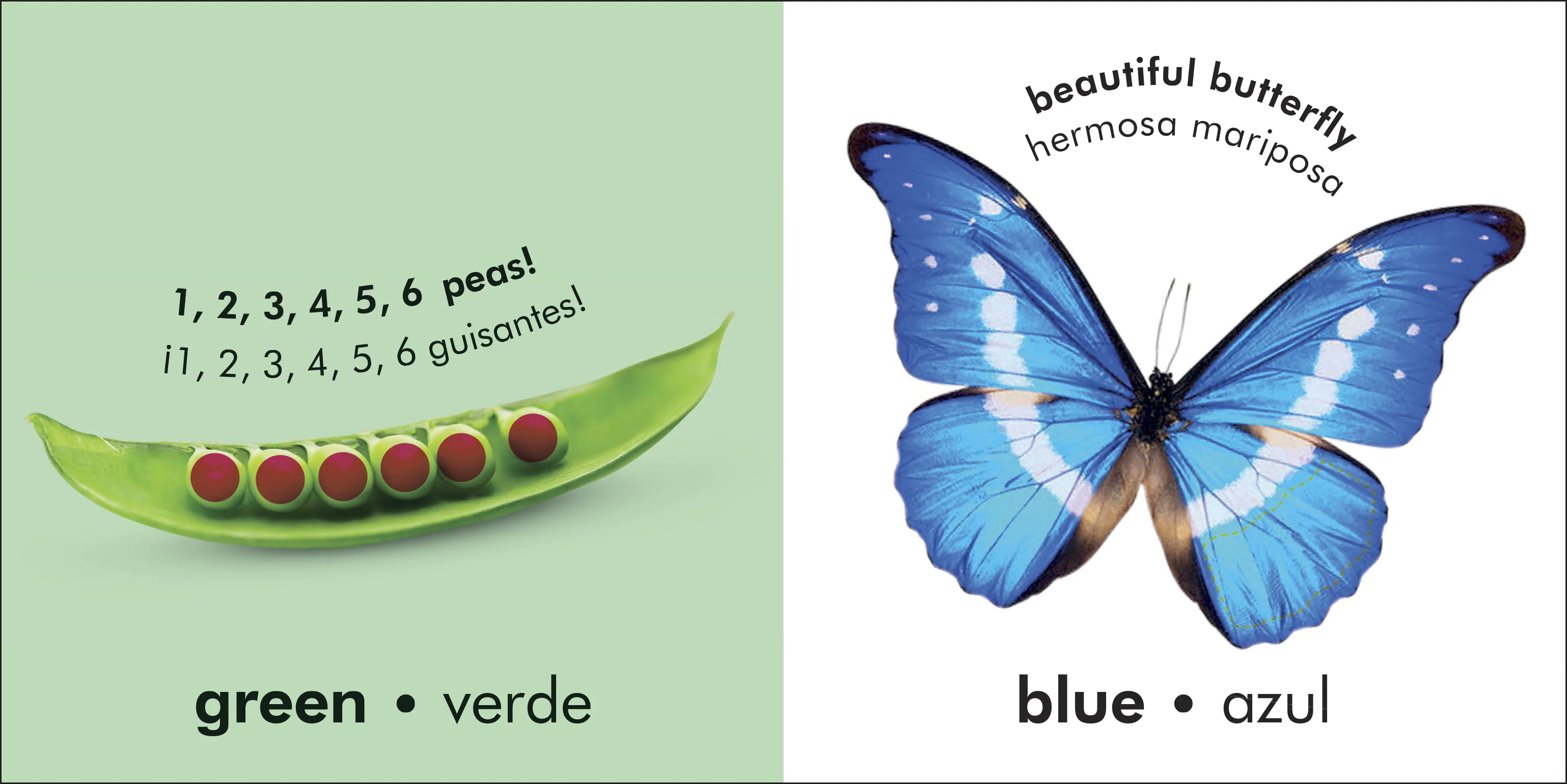 Bilingual Baby Touch and Feel: Colors / Los Colores - Image 2
