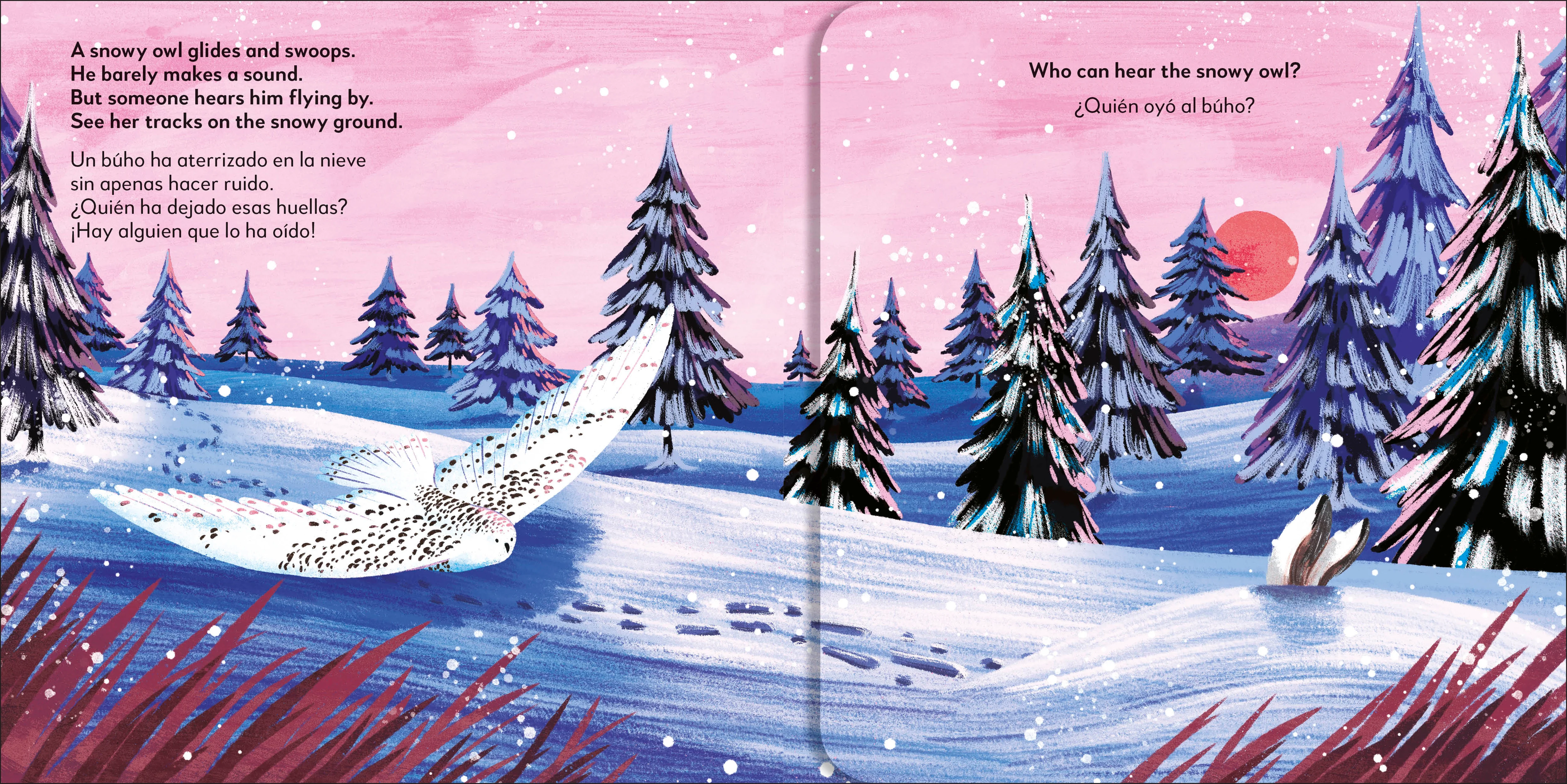 Bilingual Pop-up Peekaboo! Winter / El invierno - Image 4