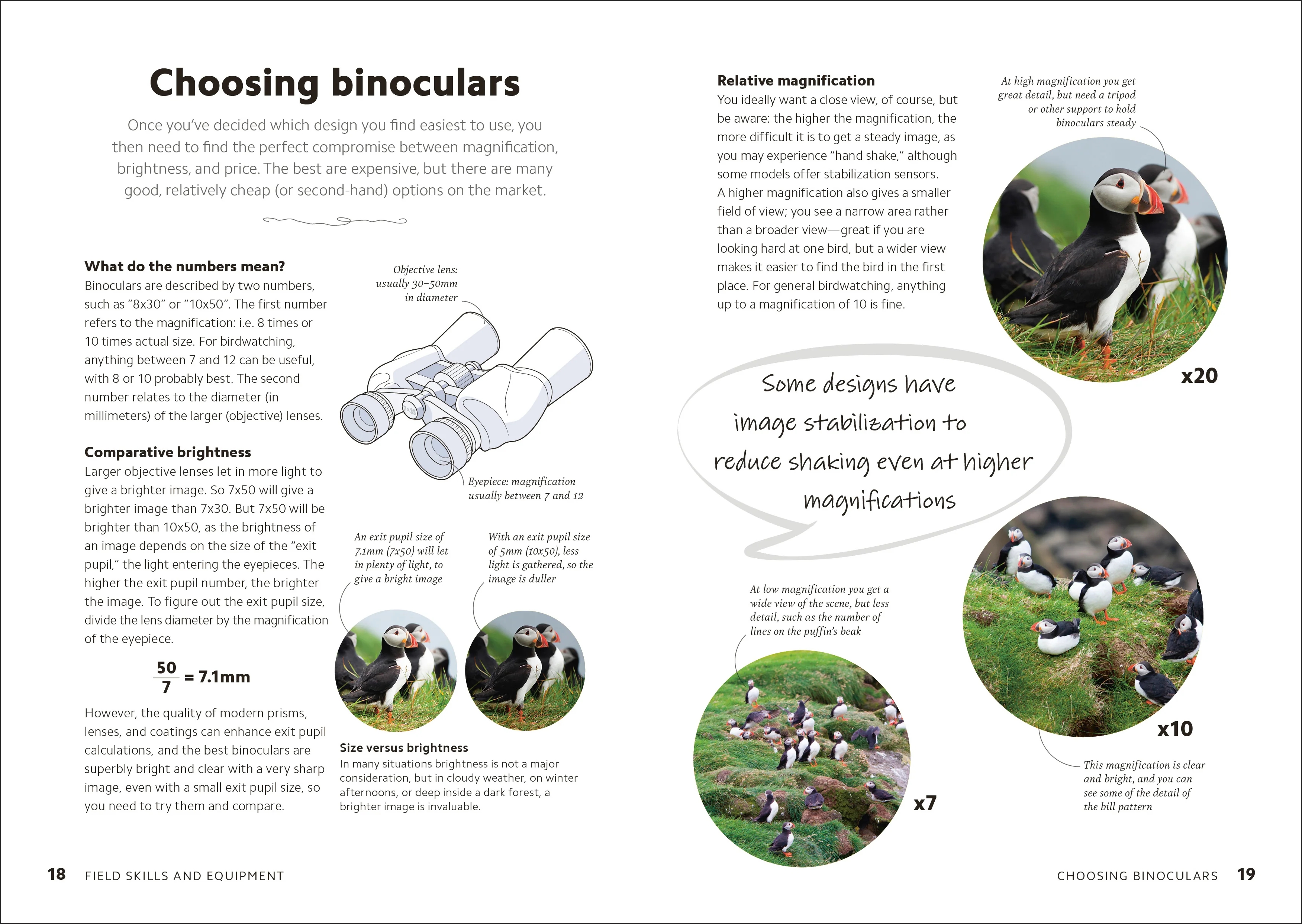 Birdwatching Guide - Image 2