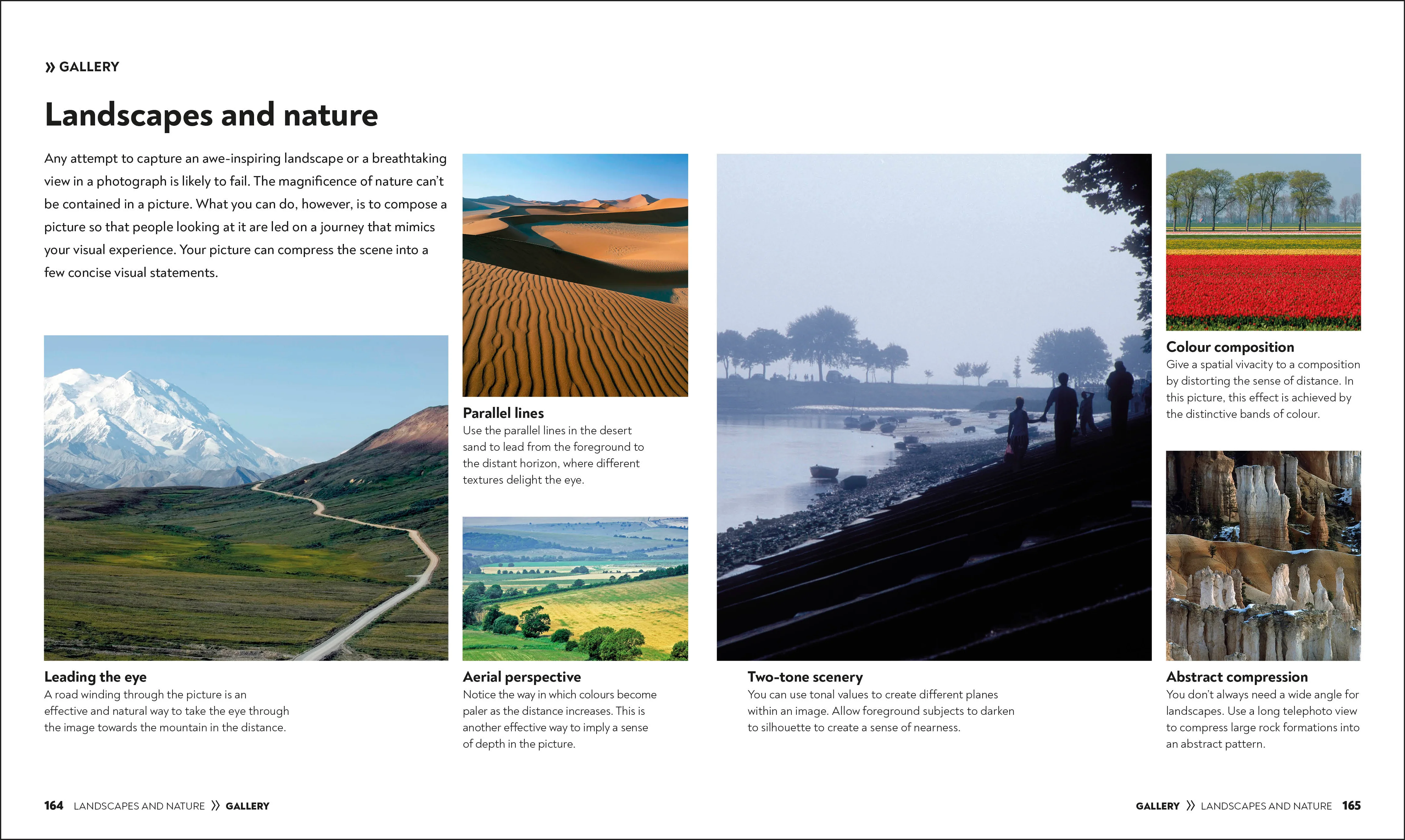 How to Photograph Absolutely Everything - Image 8
