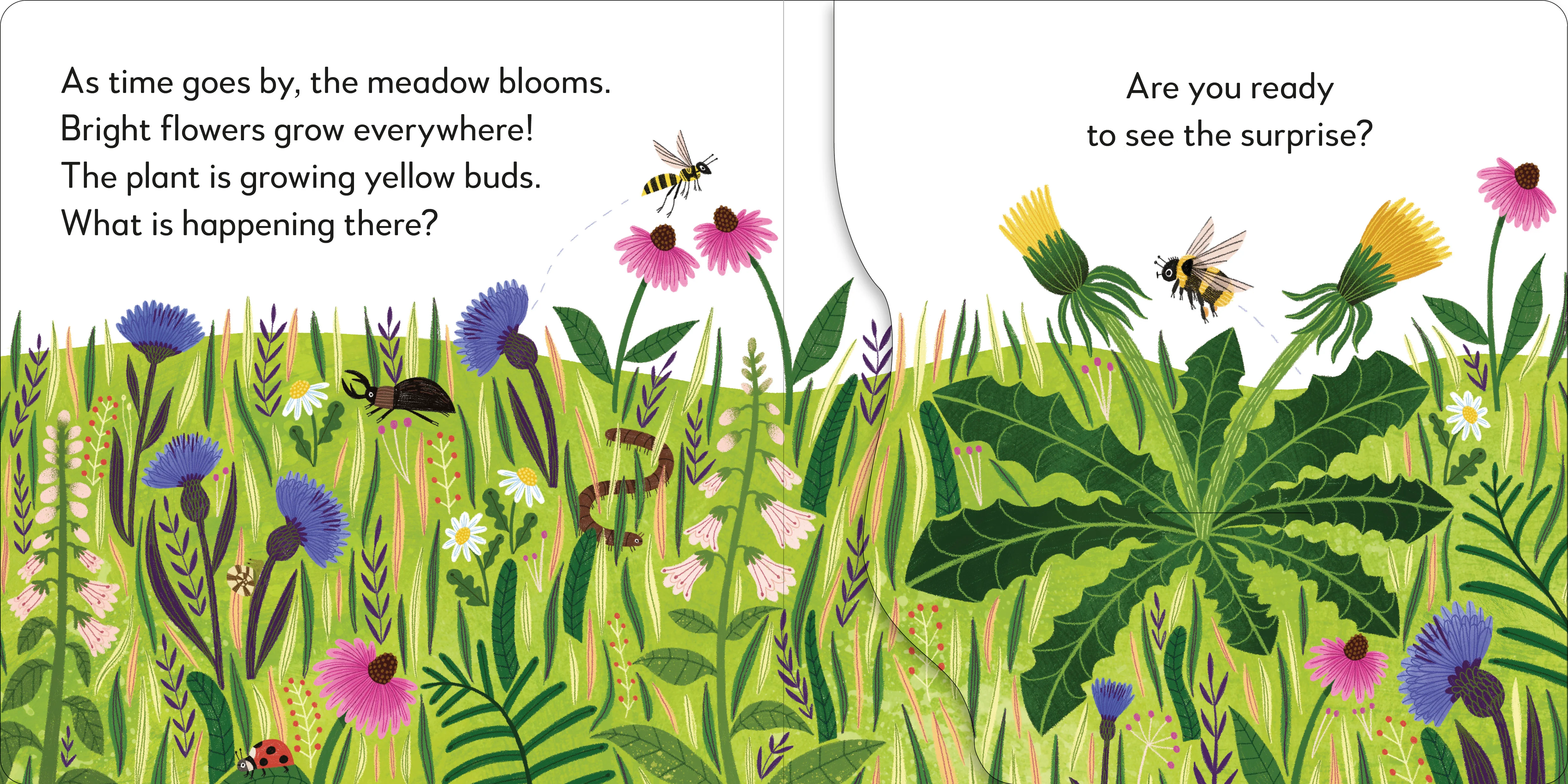 Pop-Up Peekaboo! Flower - Image 2