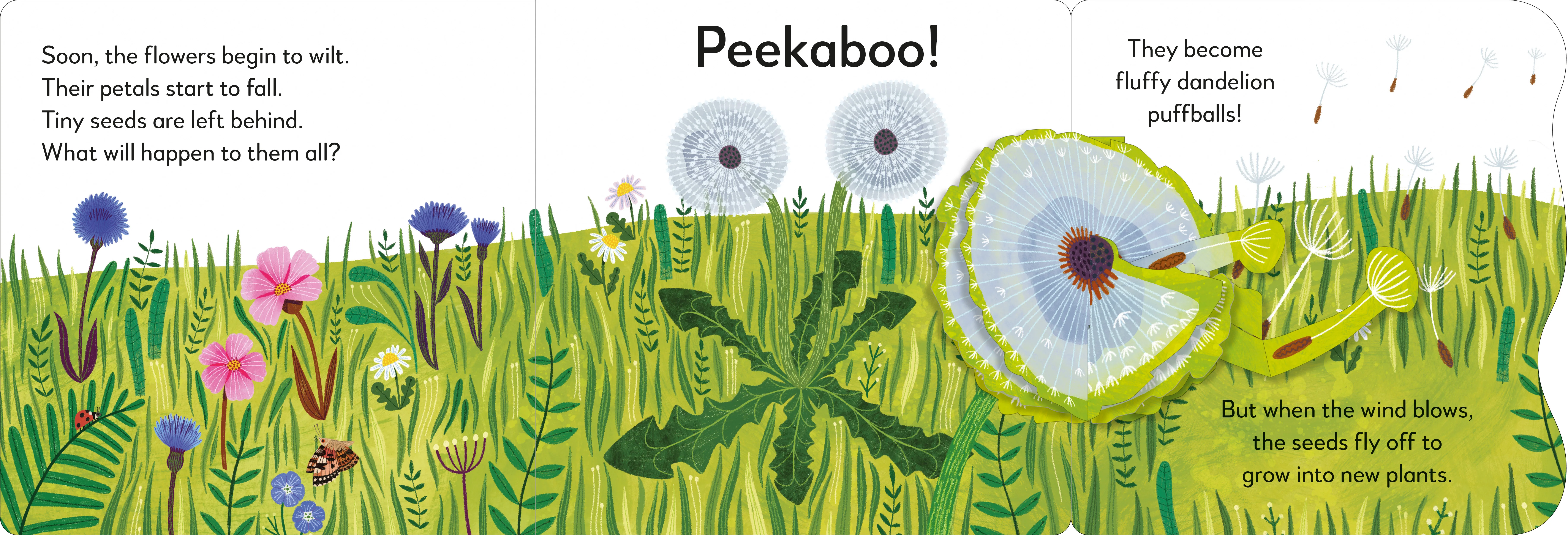 Pop-Up Peekaboo! Flower - Image 3