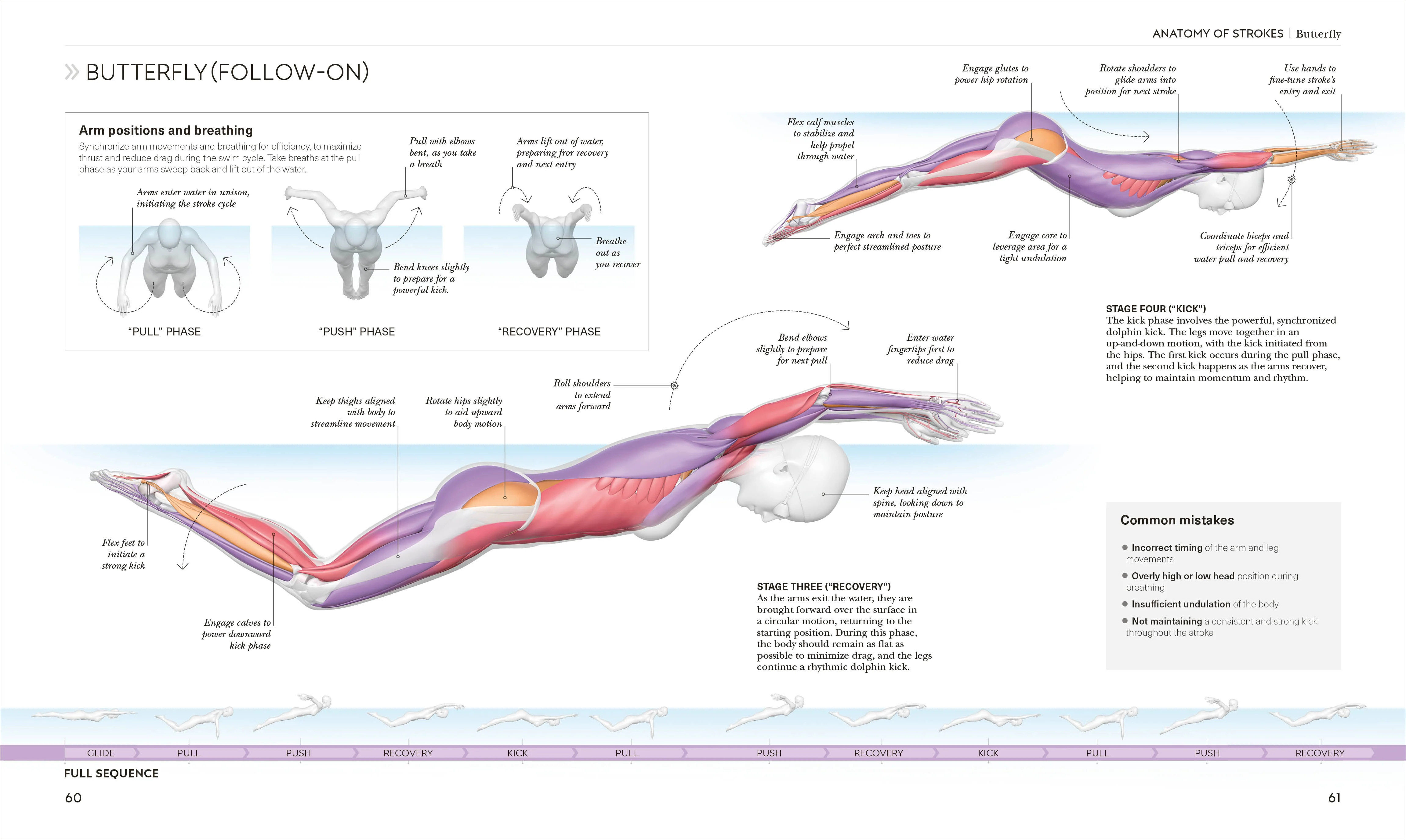 Science of Swimming - Image 5